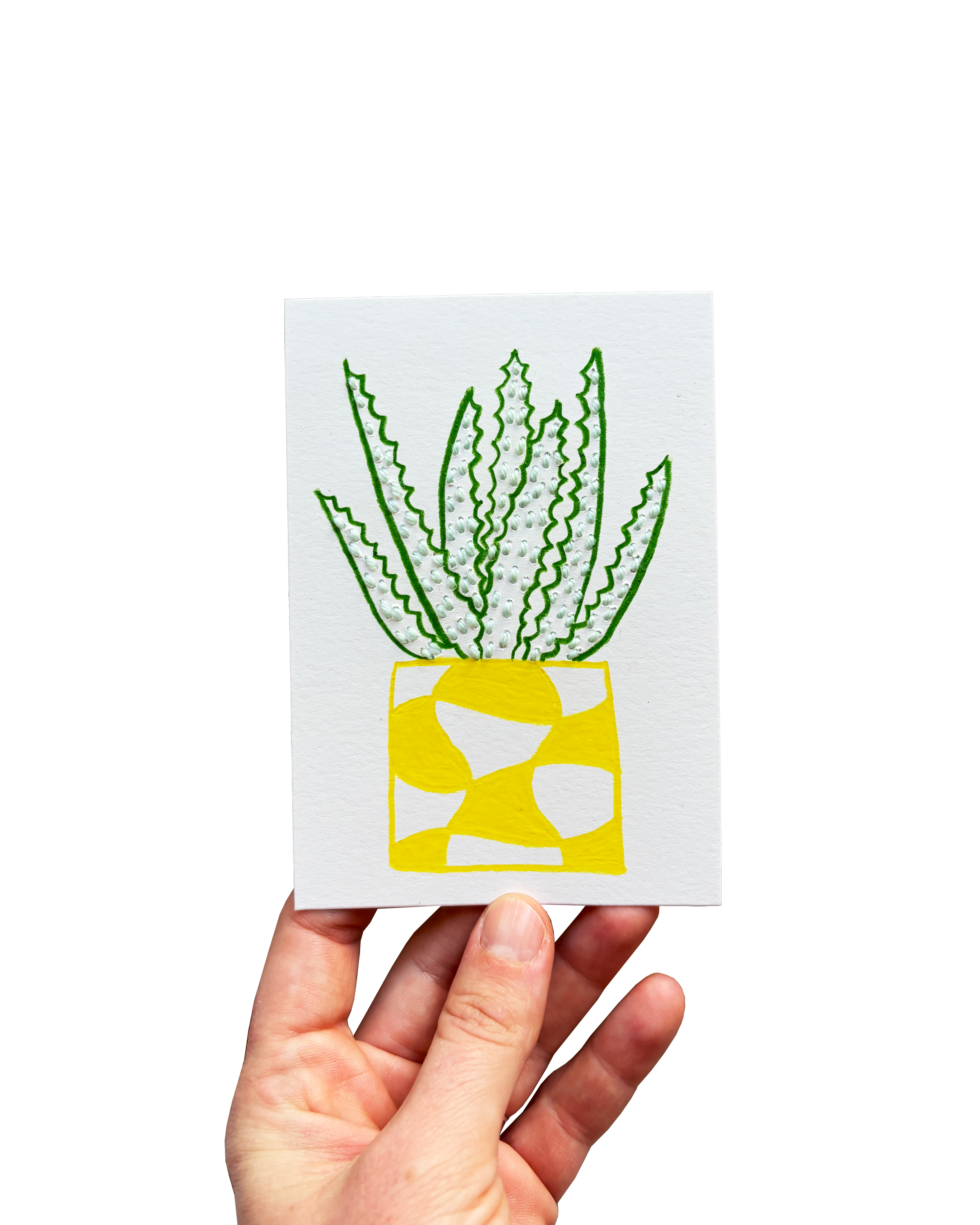 Tiny Plant 24