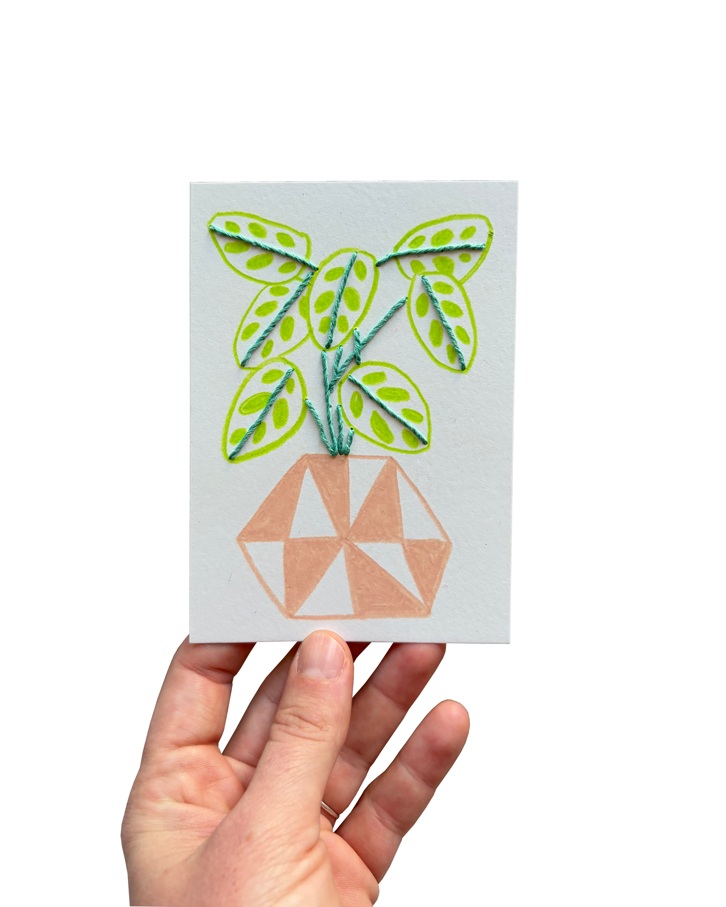 tiny plants 5.png