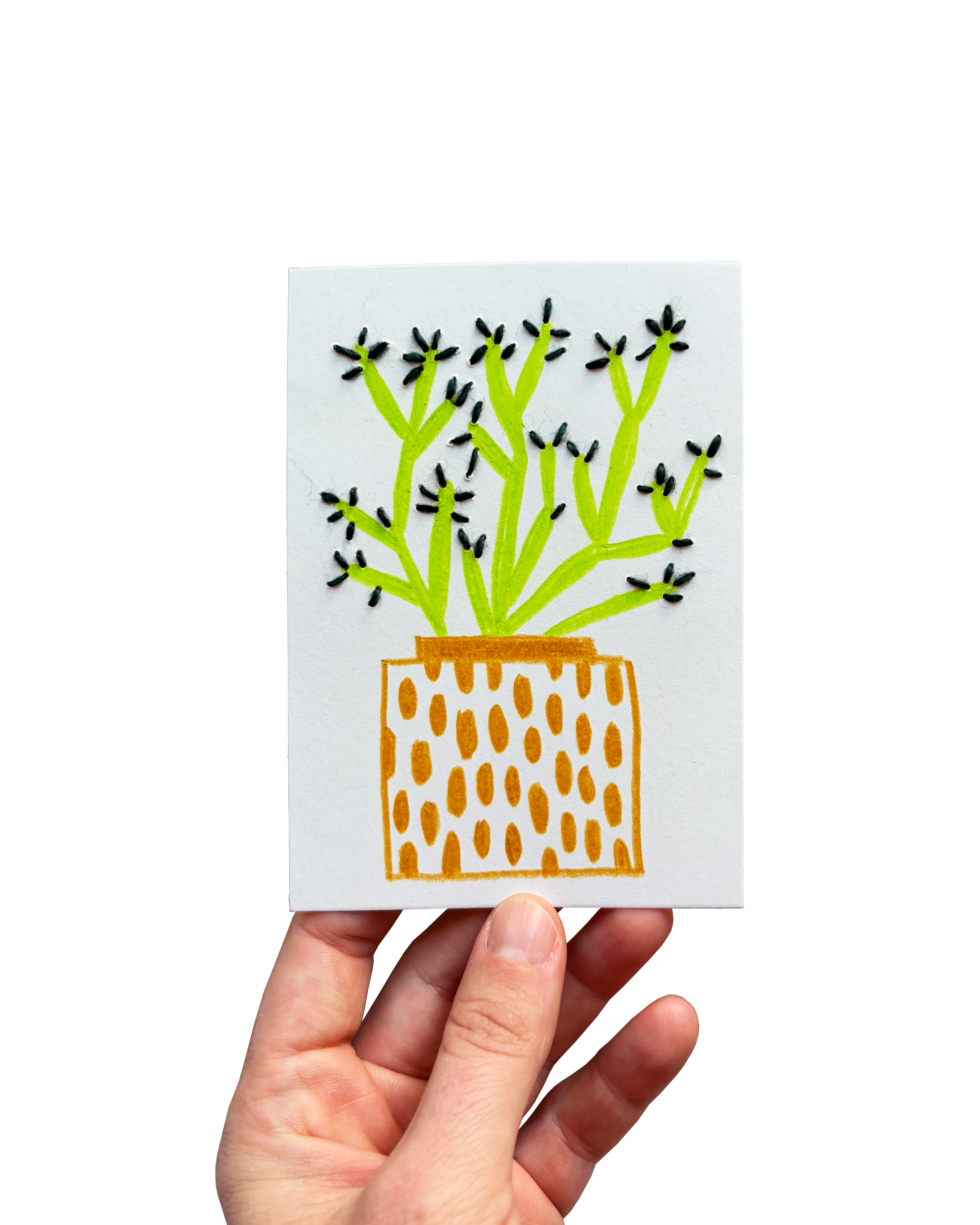 Tiny Plant 19