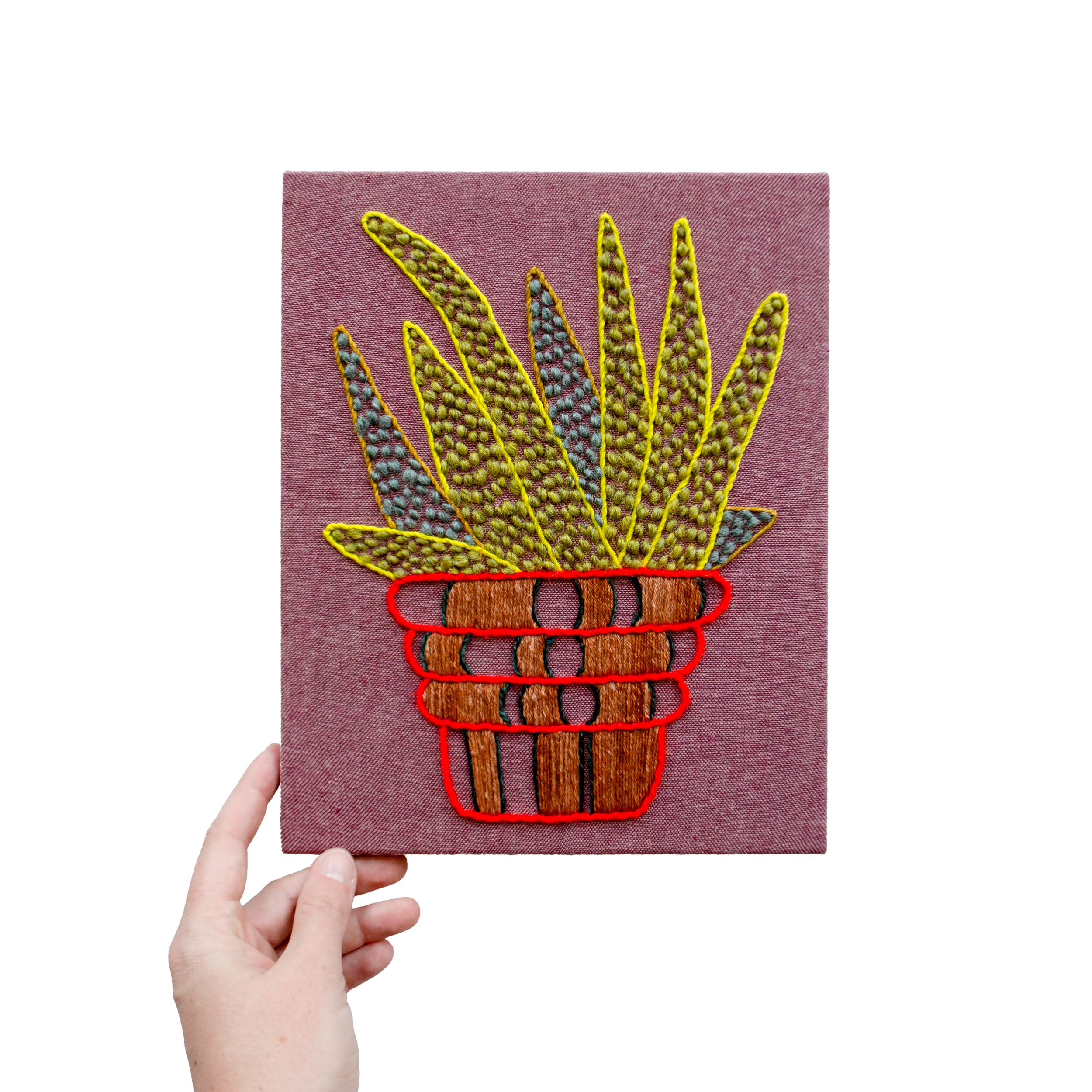 aloe.png