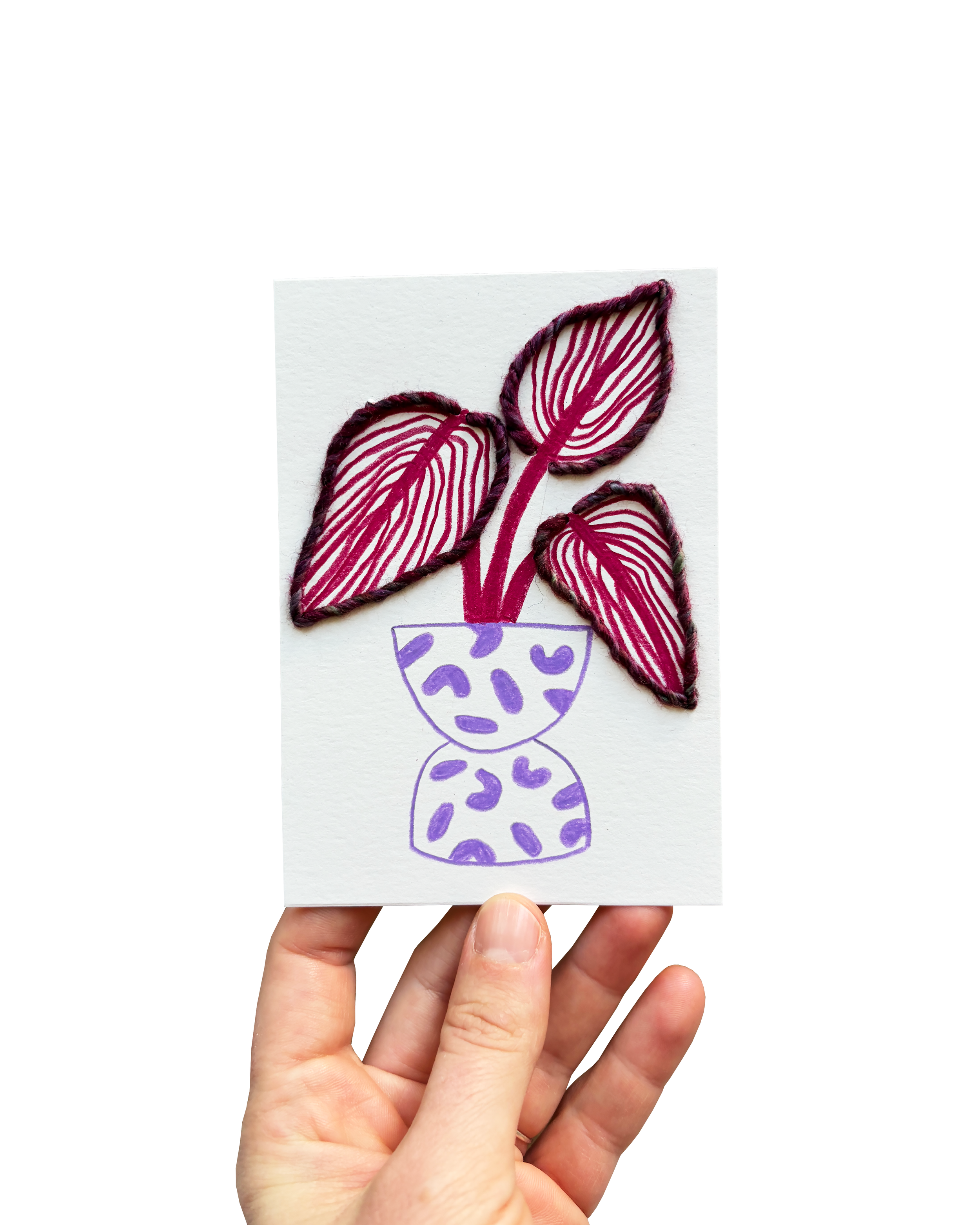 Tiny Plant 27