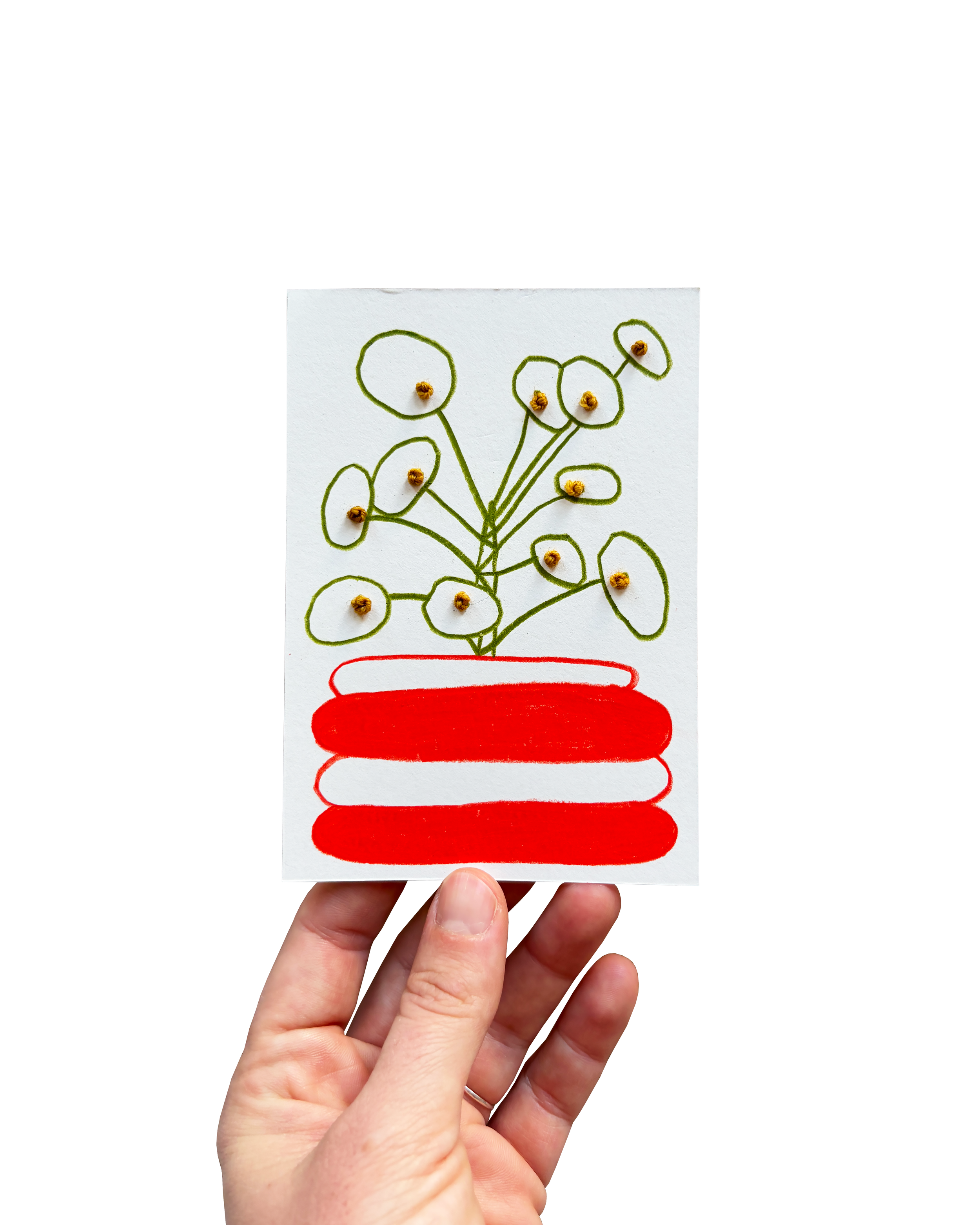Tiny Plant 29
