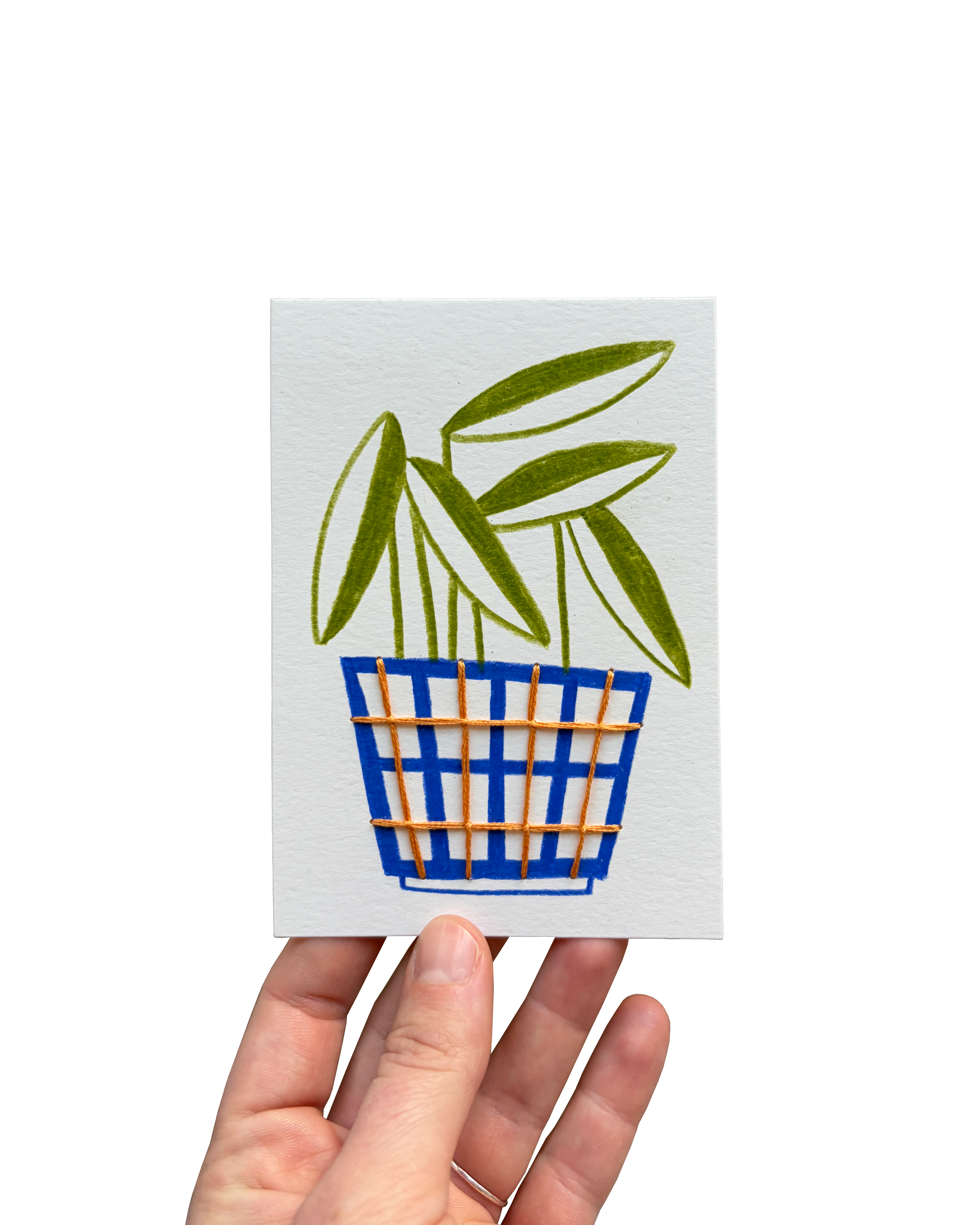 tiny plants 3.png