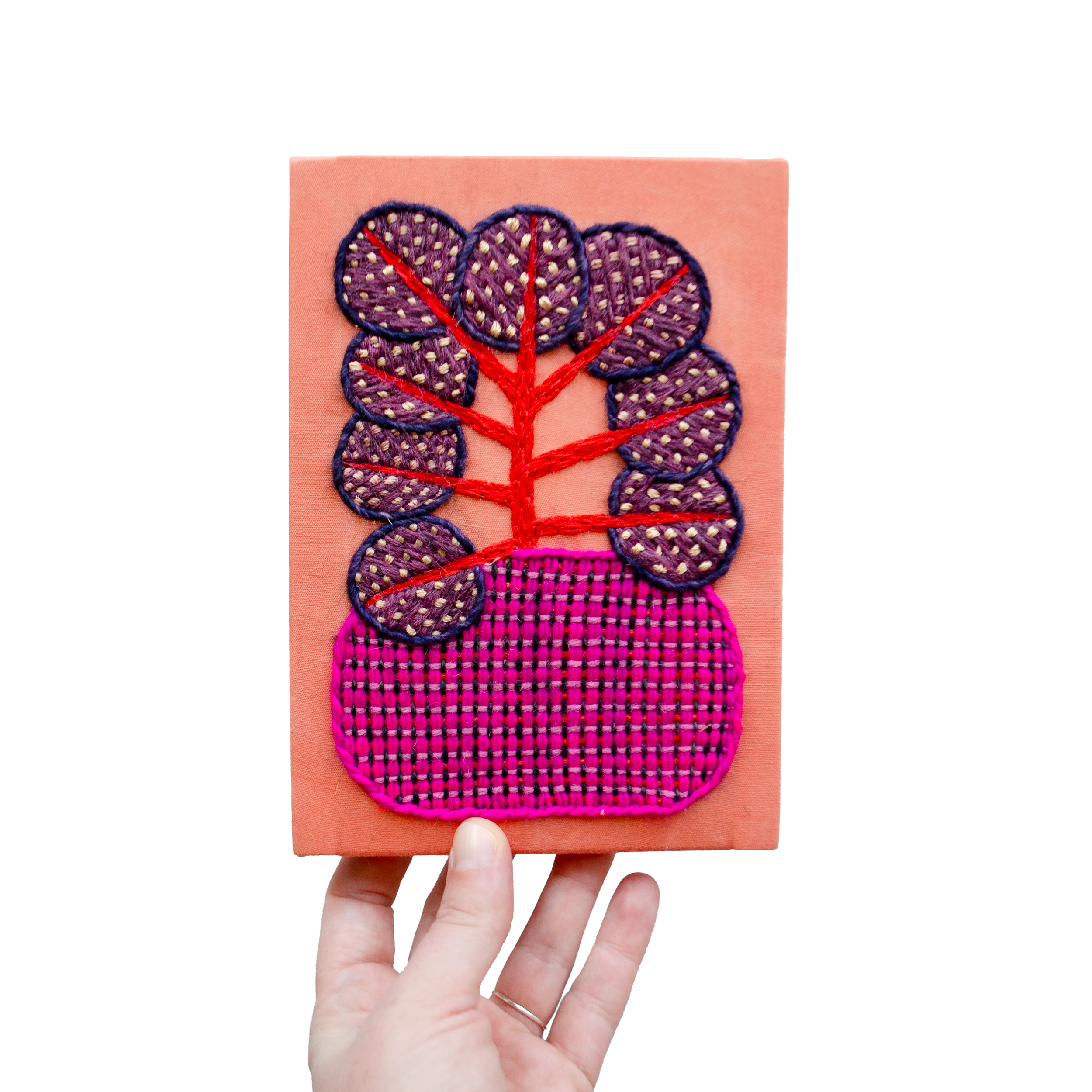 imaginary plant on salmon.png