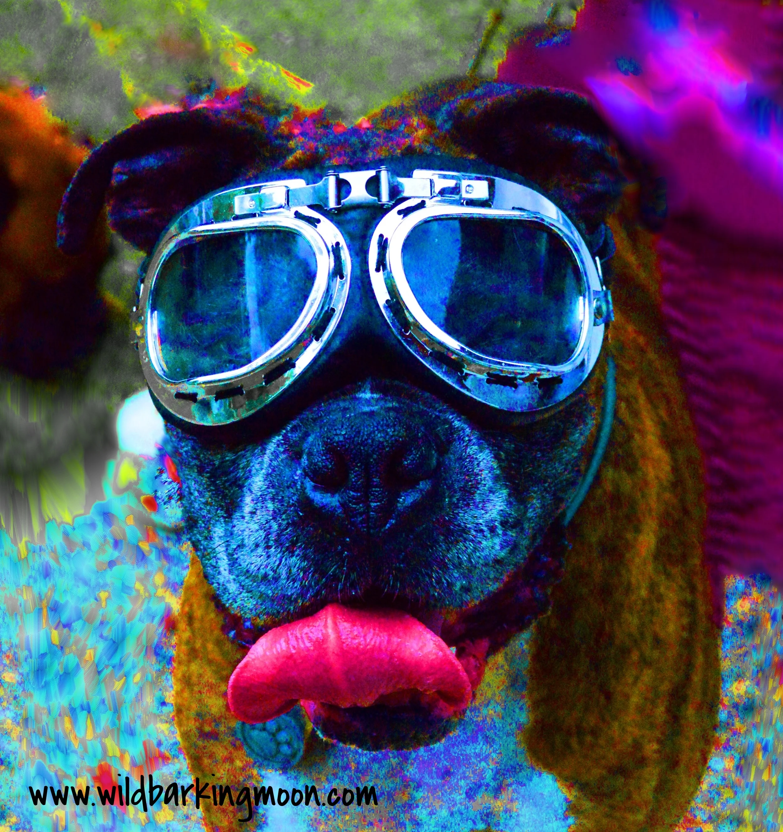 Boxer.tongue.motor.final.jpg