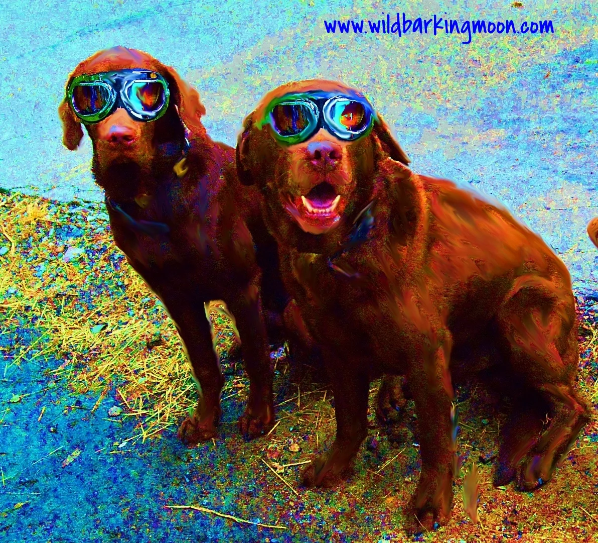 Choc labs duo 2 motorcycle final.jpg