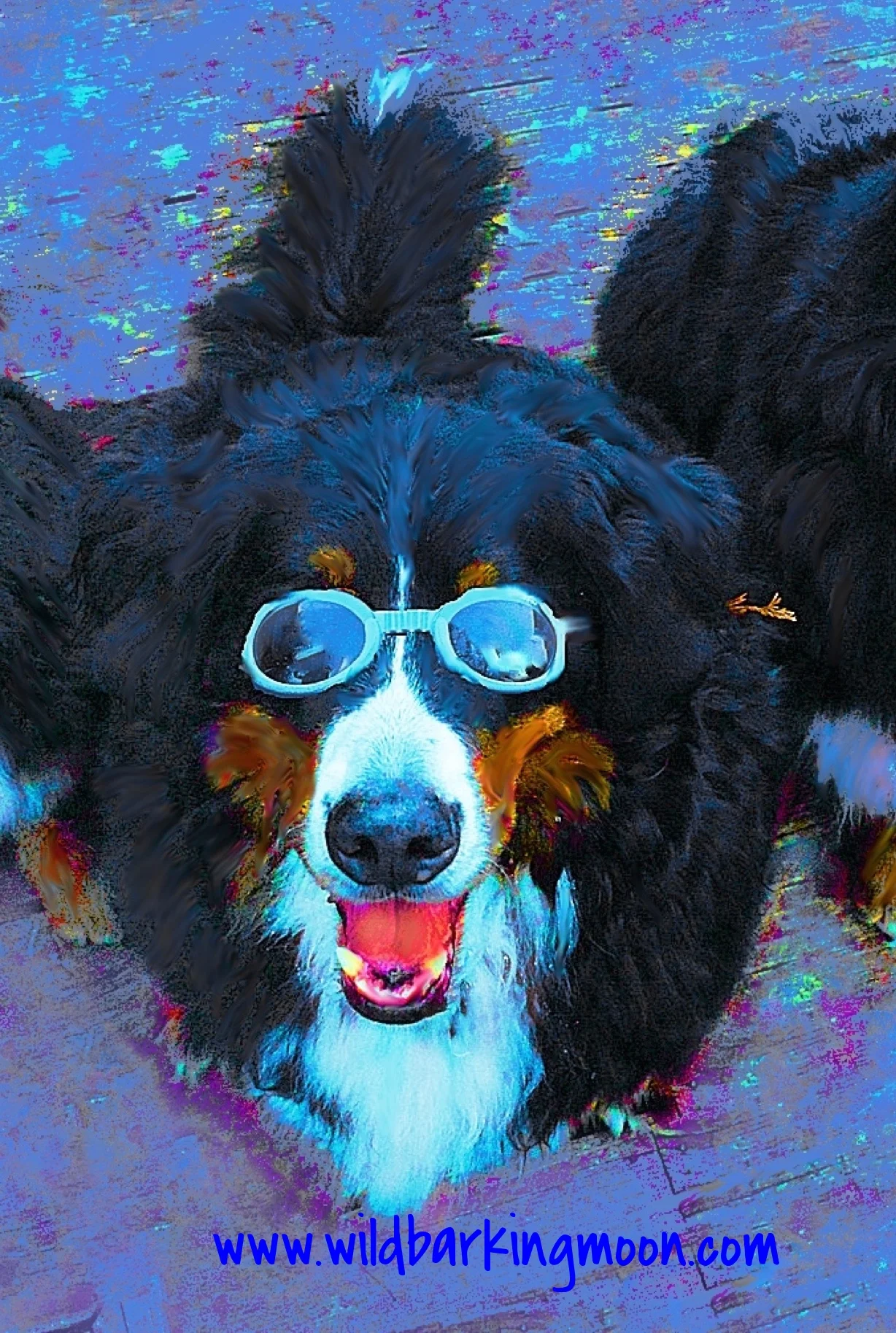st. bernese 2 8x10.jpg