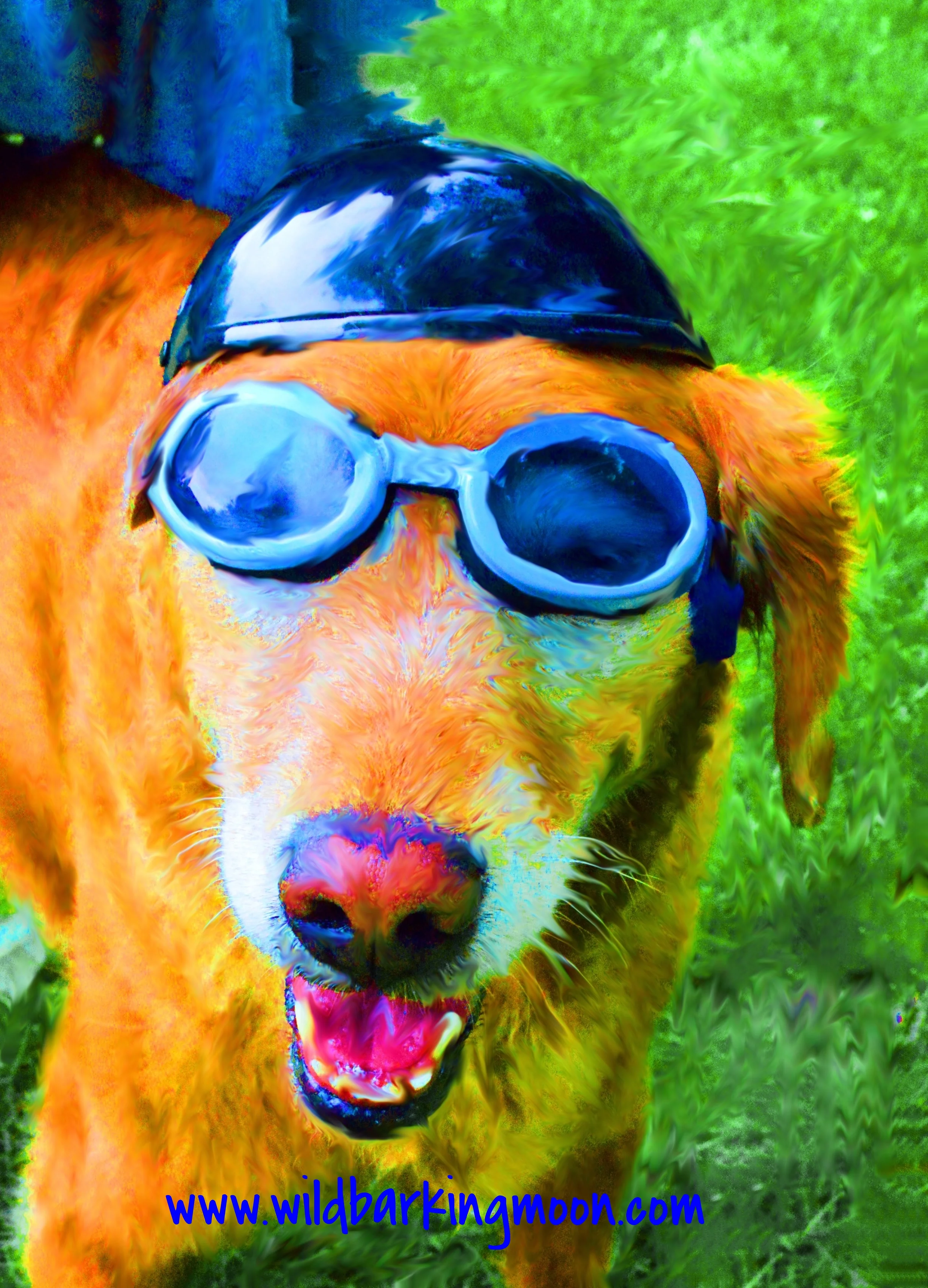 Bailey.helmet.final.jpg