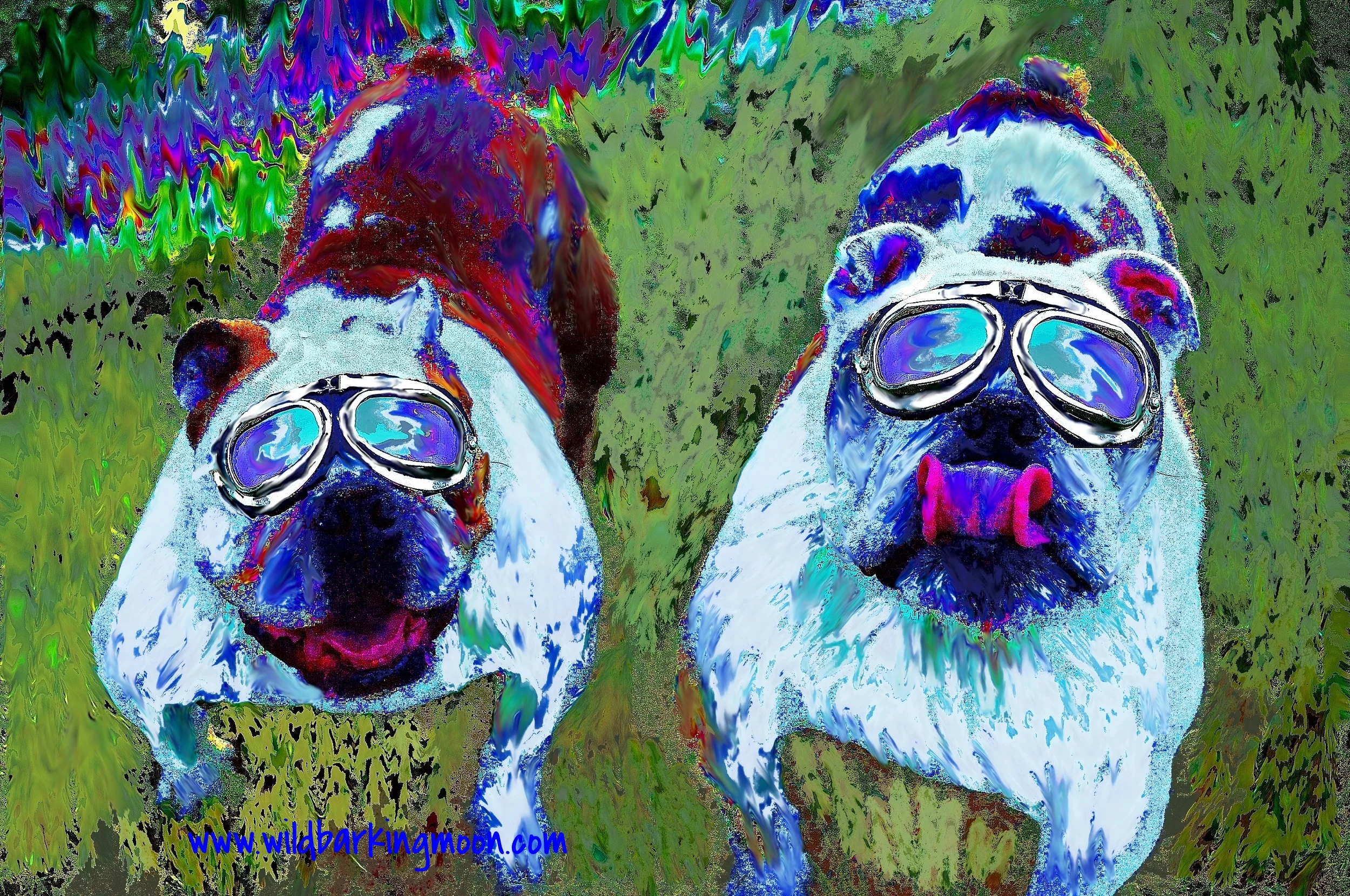 duo bulldogs 1 3.jpg