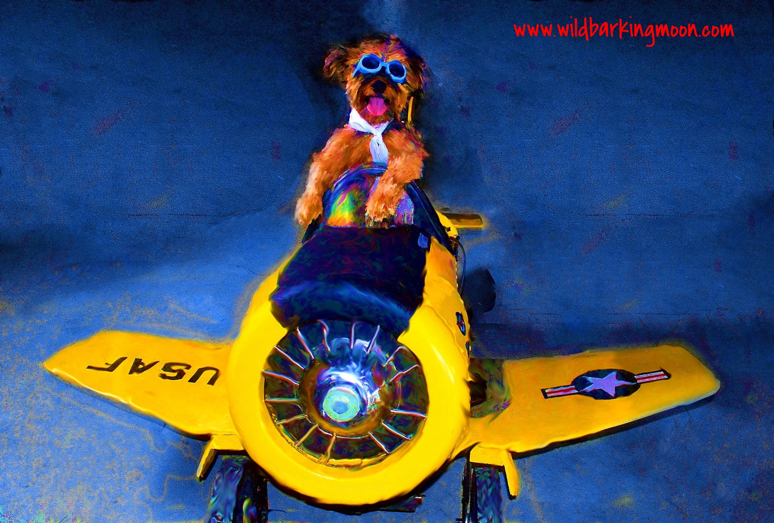 reggie pilot blue 2.jpg