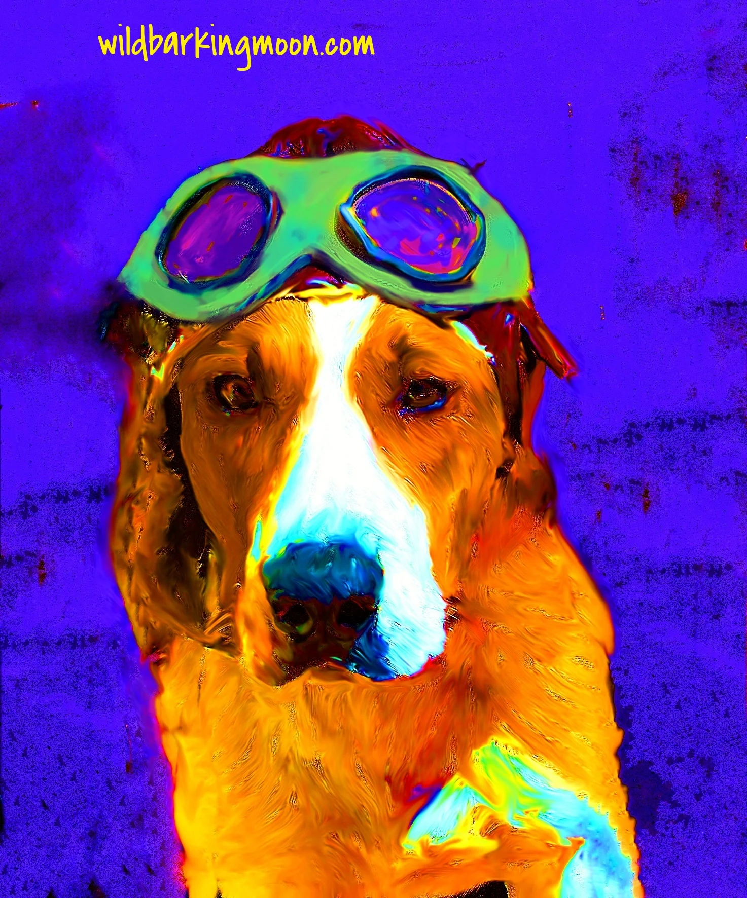 pilot Fox Hound blue.jpg