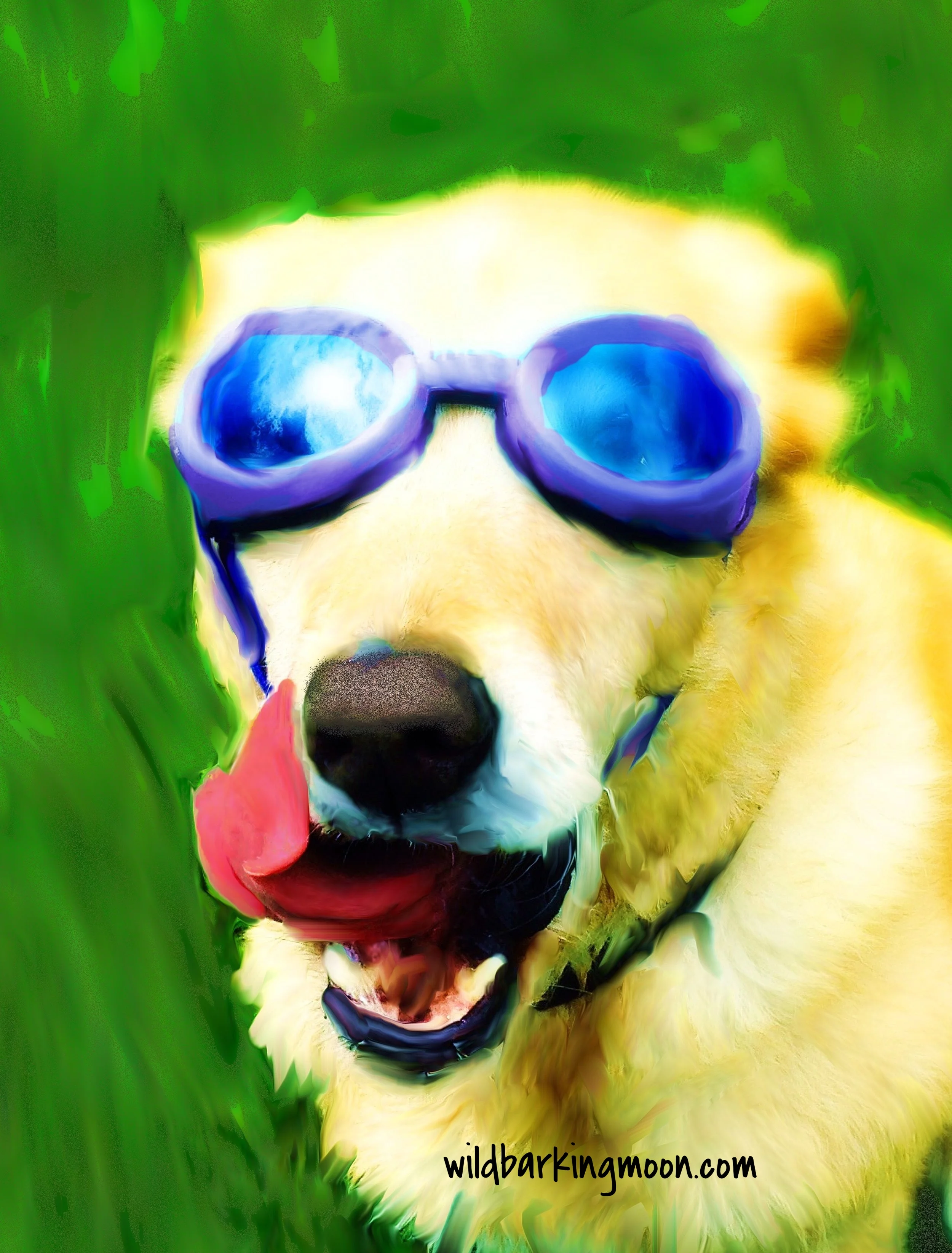 Yellow lab head shot.jpg