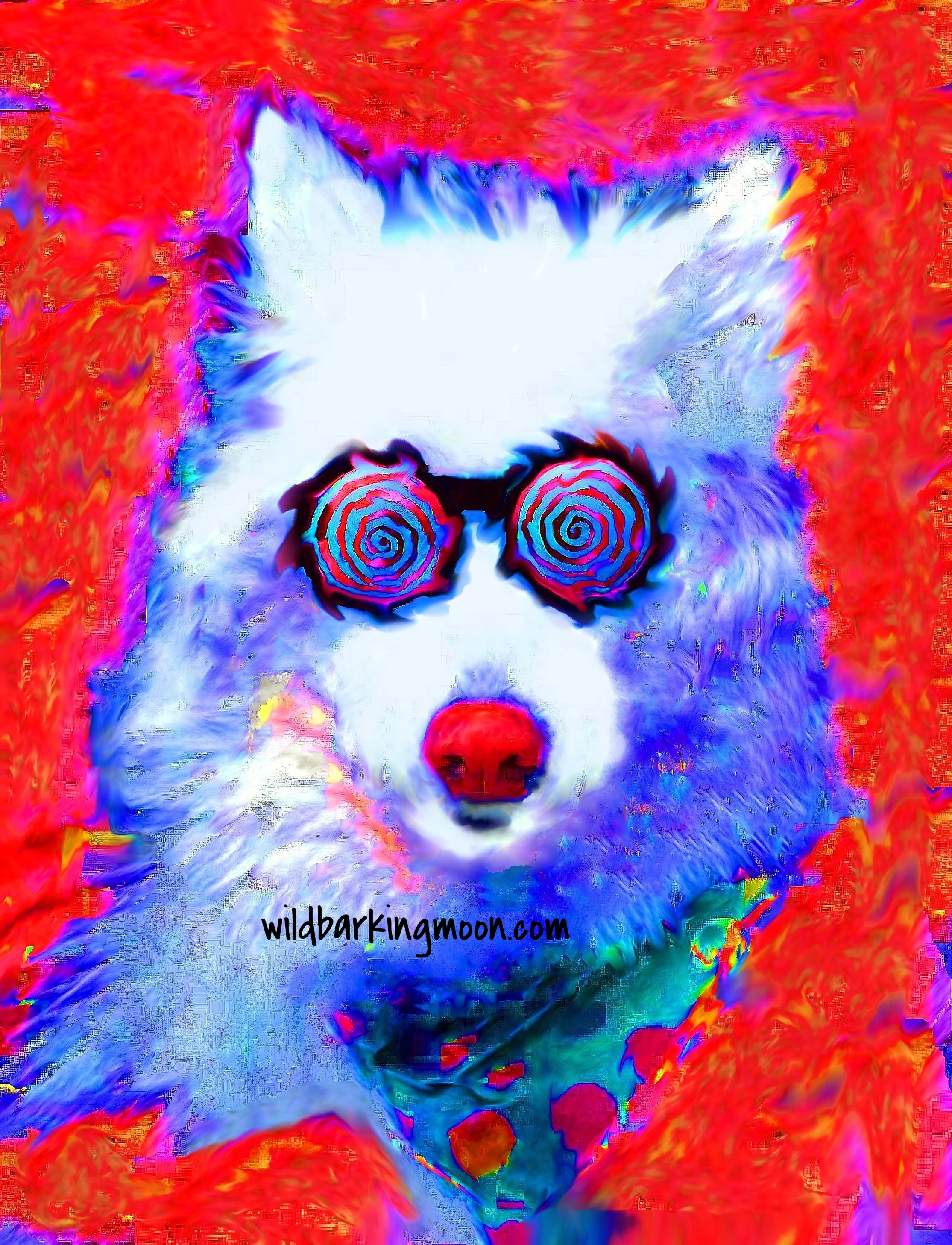Samoyed zwirly orange 4.jpg