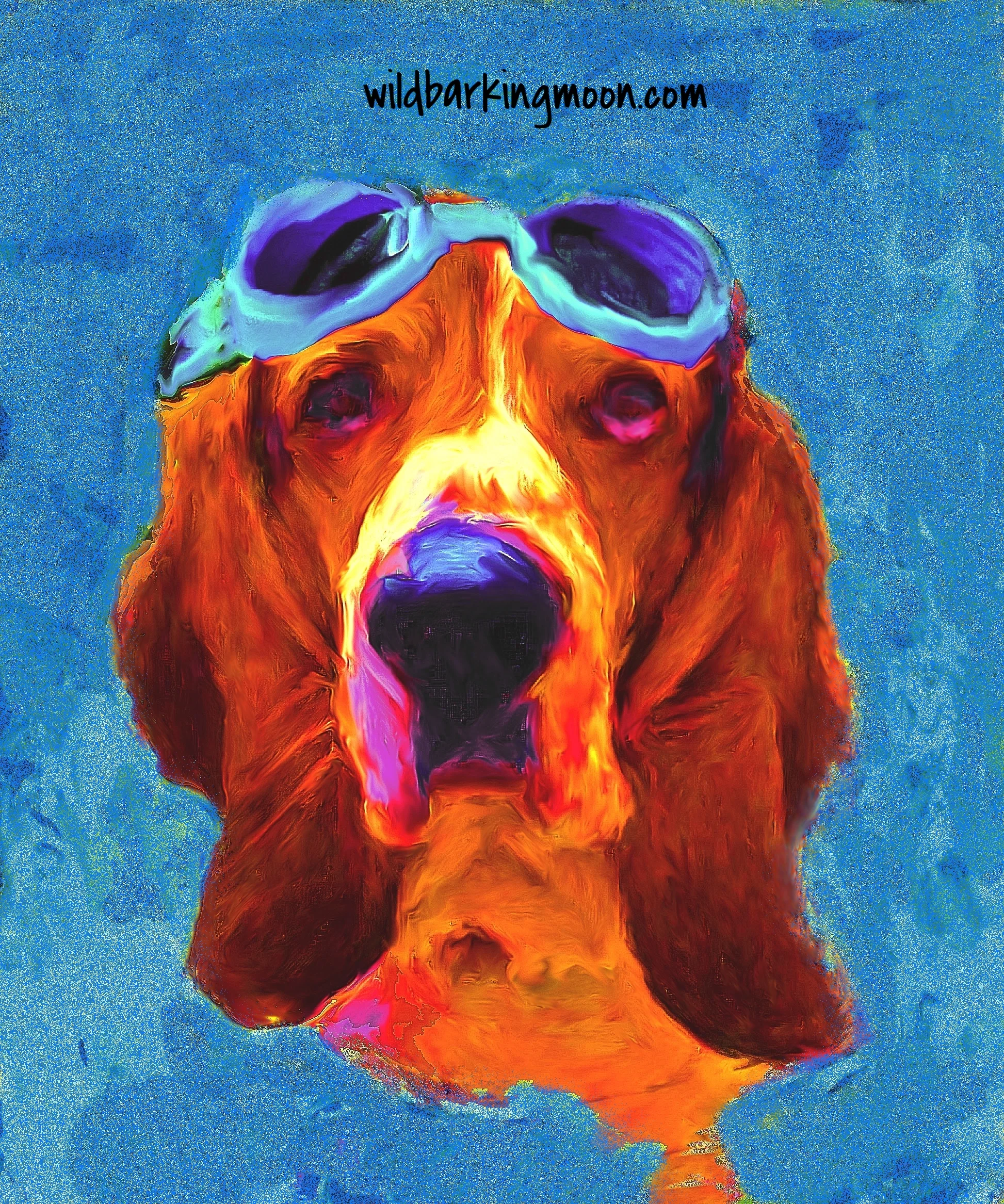 bassett hound 1 Oliver blue.jpg