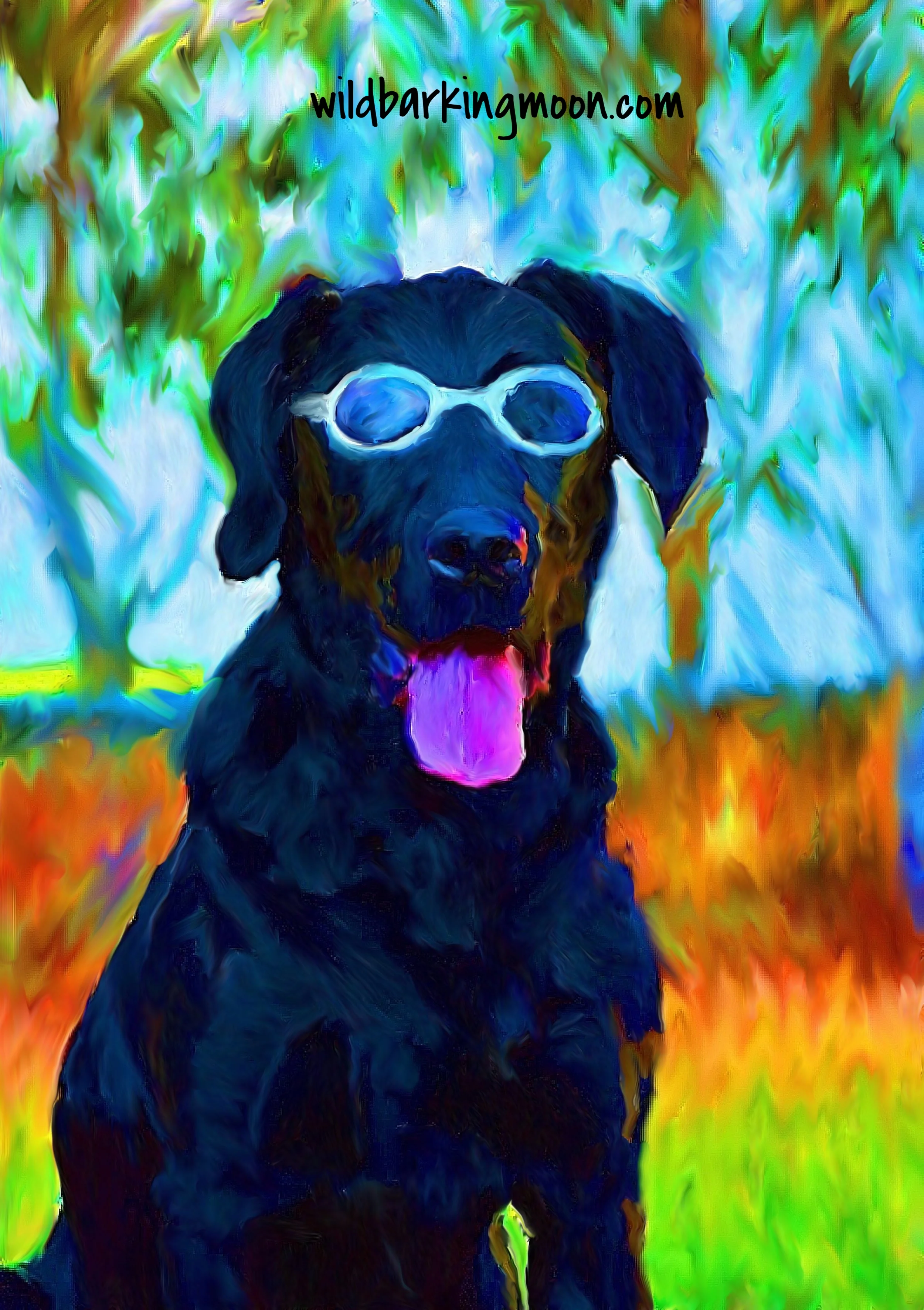black lab.jpg