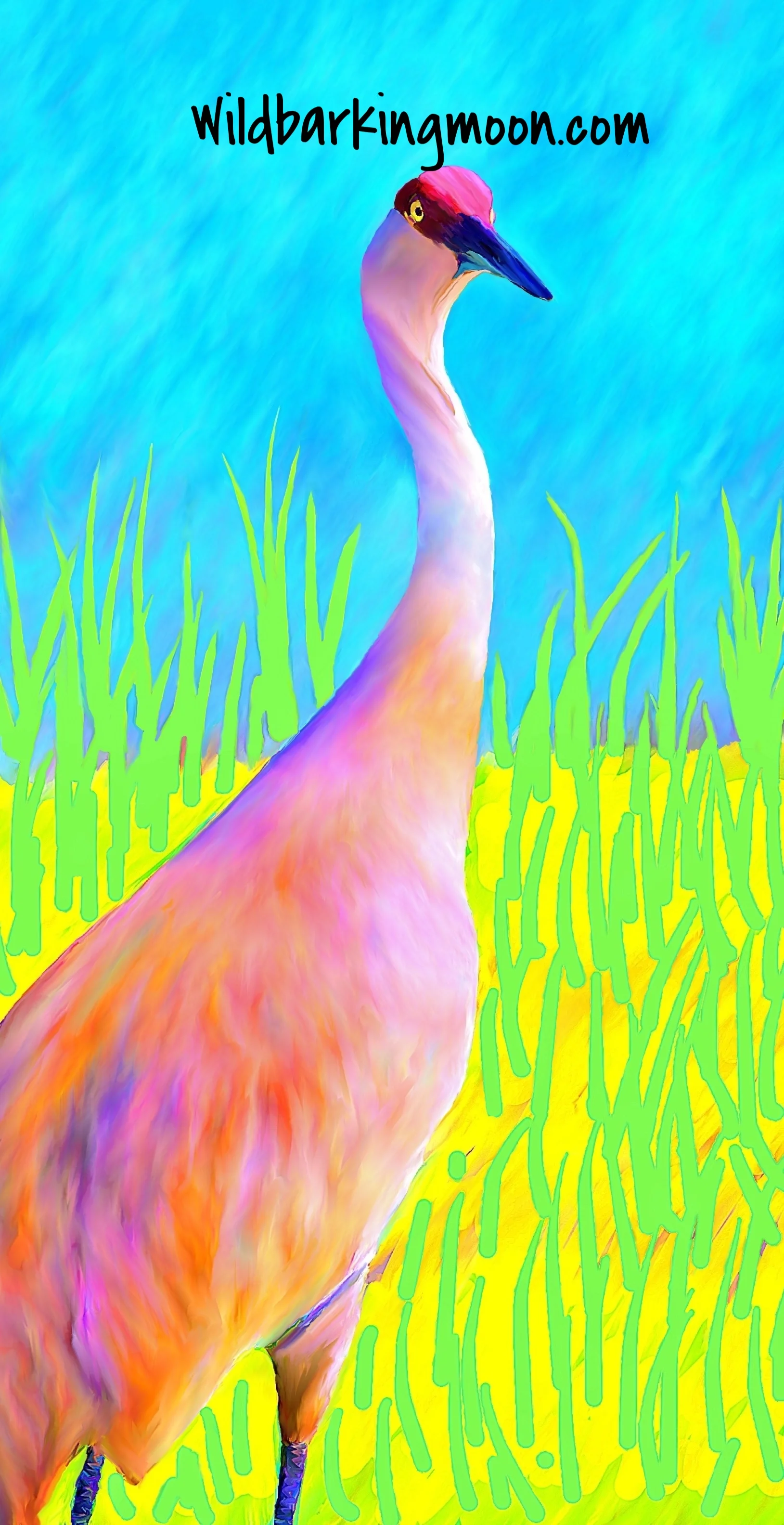 Sandhill Crane final.jpg