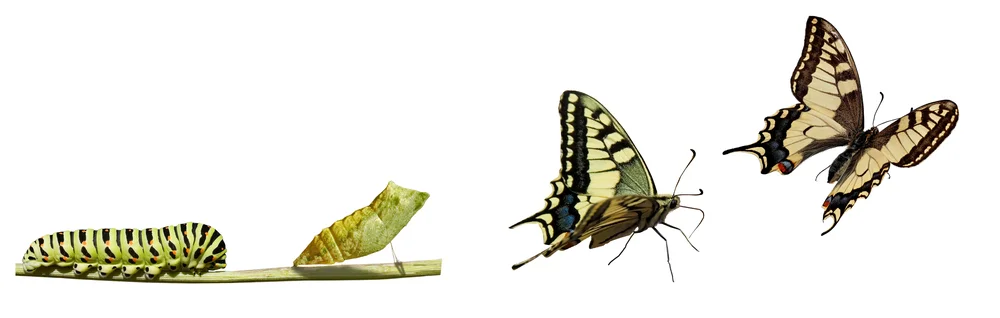 shutterstock_124543042.jpg