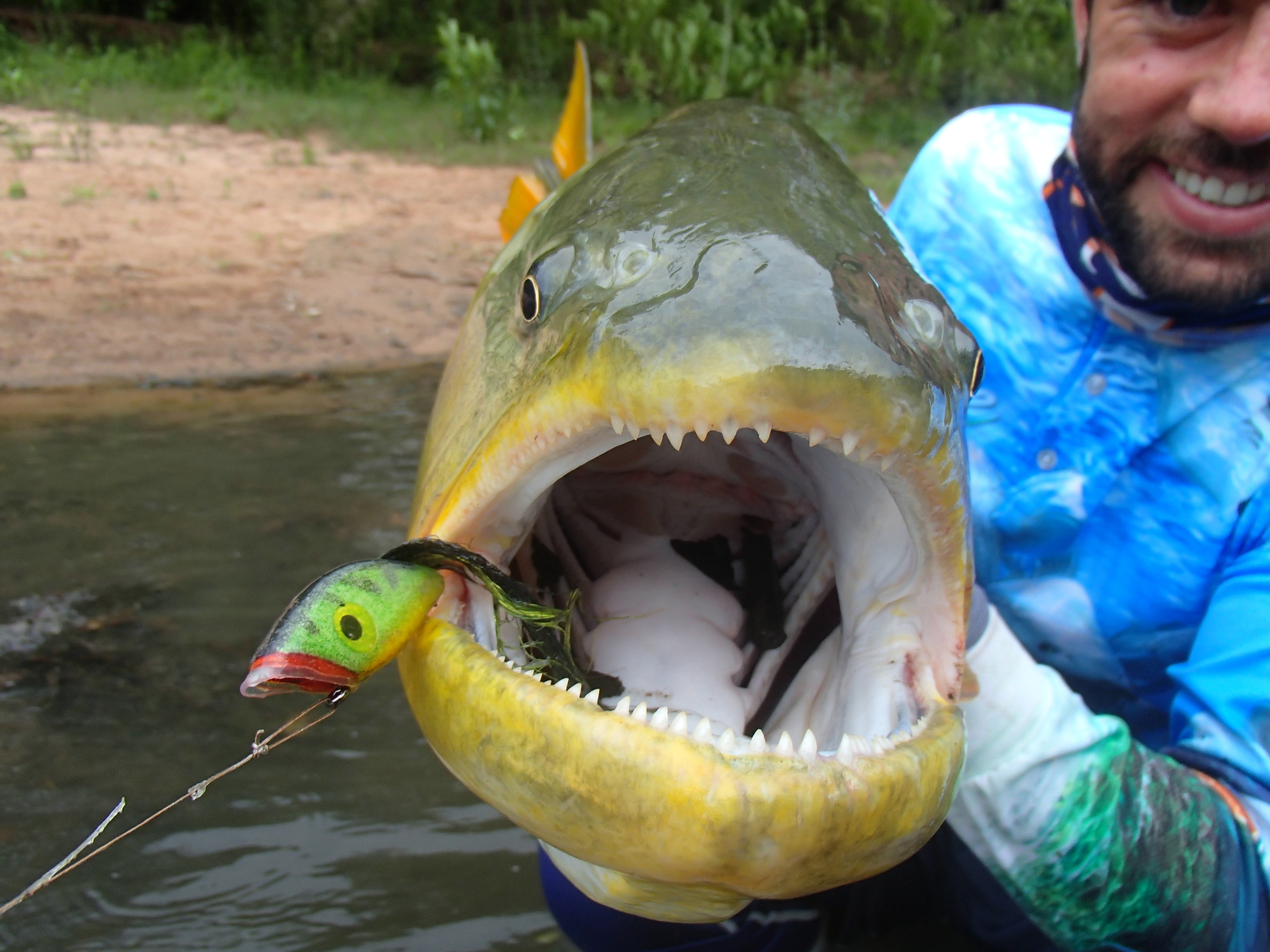 One of the many Dorado Flat Fred can be thanked for!