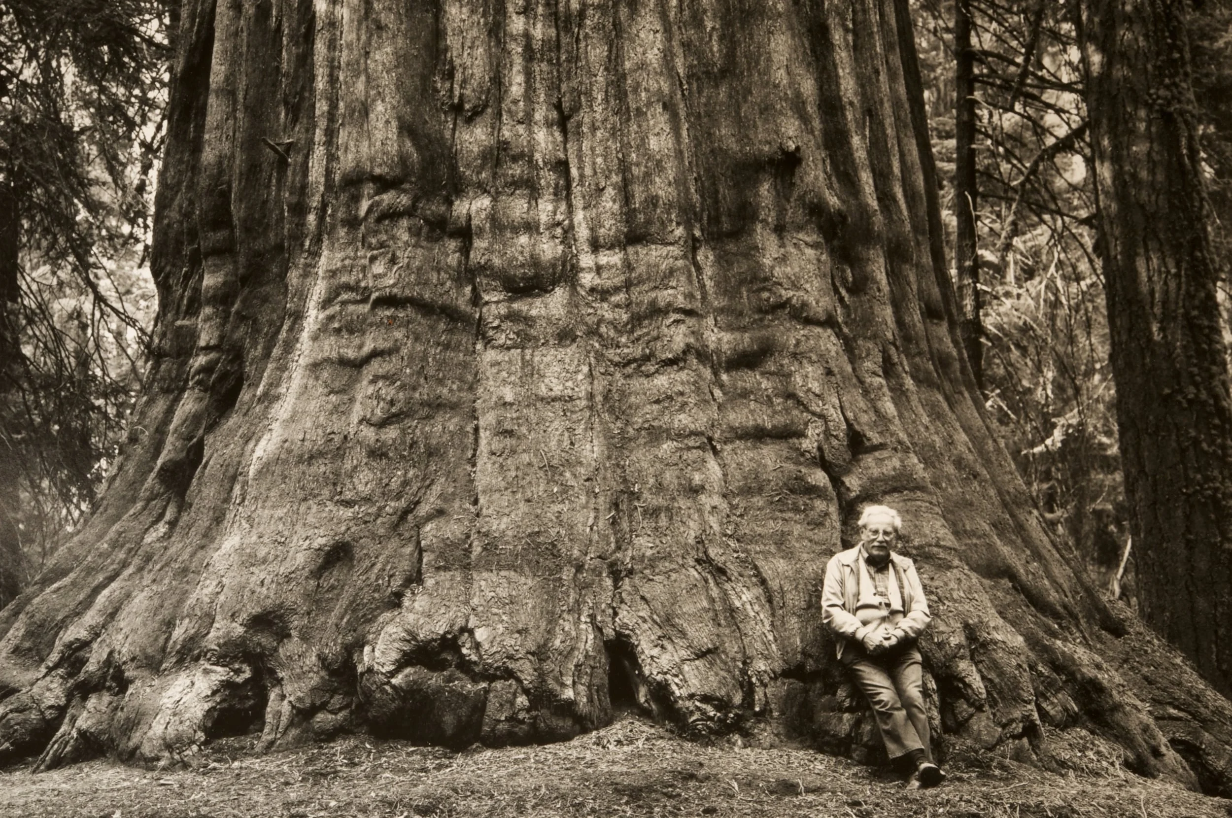 Stan Jorstad with Grizzly Giant. Photograph by Steve Jorstad.