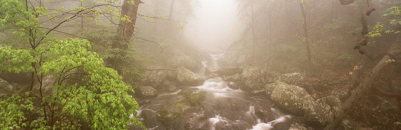 “White Oak Canyon” Shenandoah National Park, Virginia