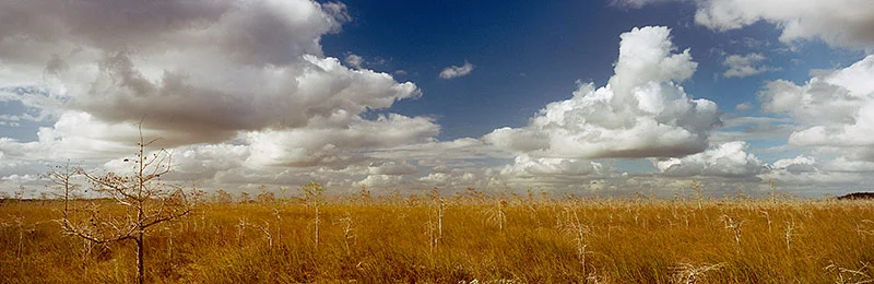Everglades National Park, World Heritage Site, Biosphere Reserve, Florida