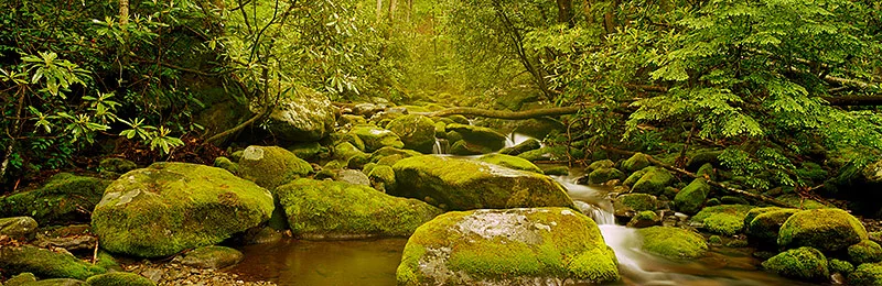 Great Smoky Mountains National Park, World Heritage Site, Biosphere Reserve, Tennessee, North Carolina