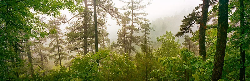 Hot Springs National Park, Arkansas
