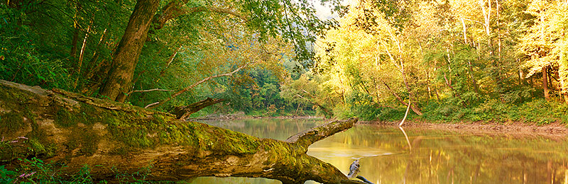 Mammoth Cave National Park, World Heritage Site, Biosphere Reserve, Kentucky 