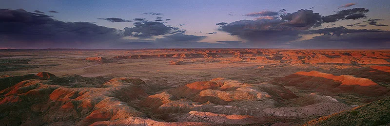 Petrified Forest National Park, Arizona 