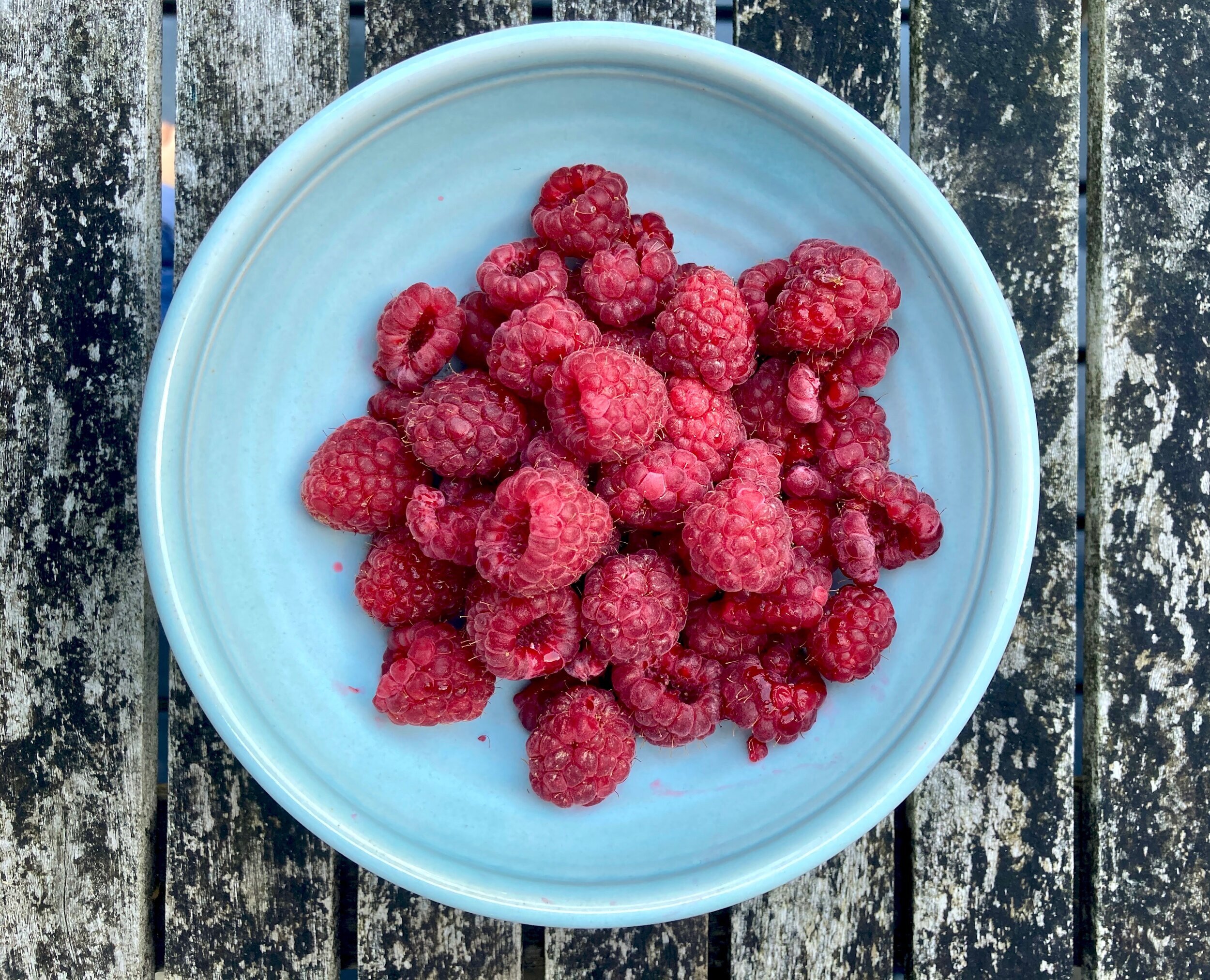'Do you like raspberries?' On Holding and Containing, Part One