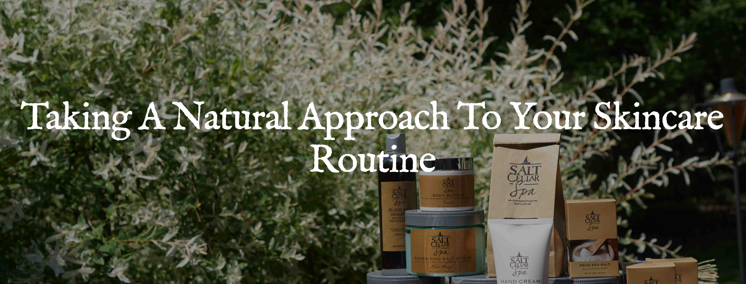 Screen Shot 2020-02-15 at 1.48.04 PM.png