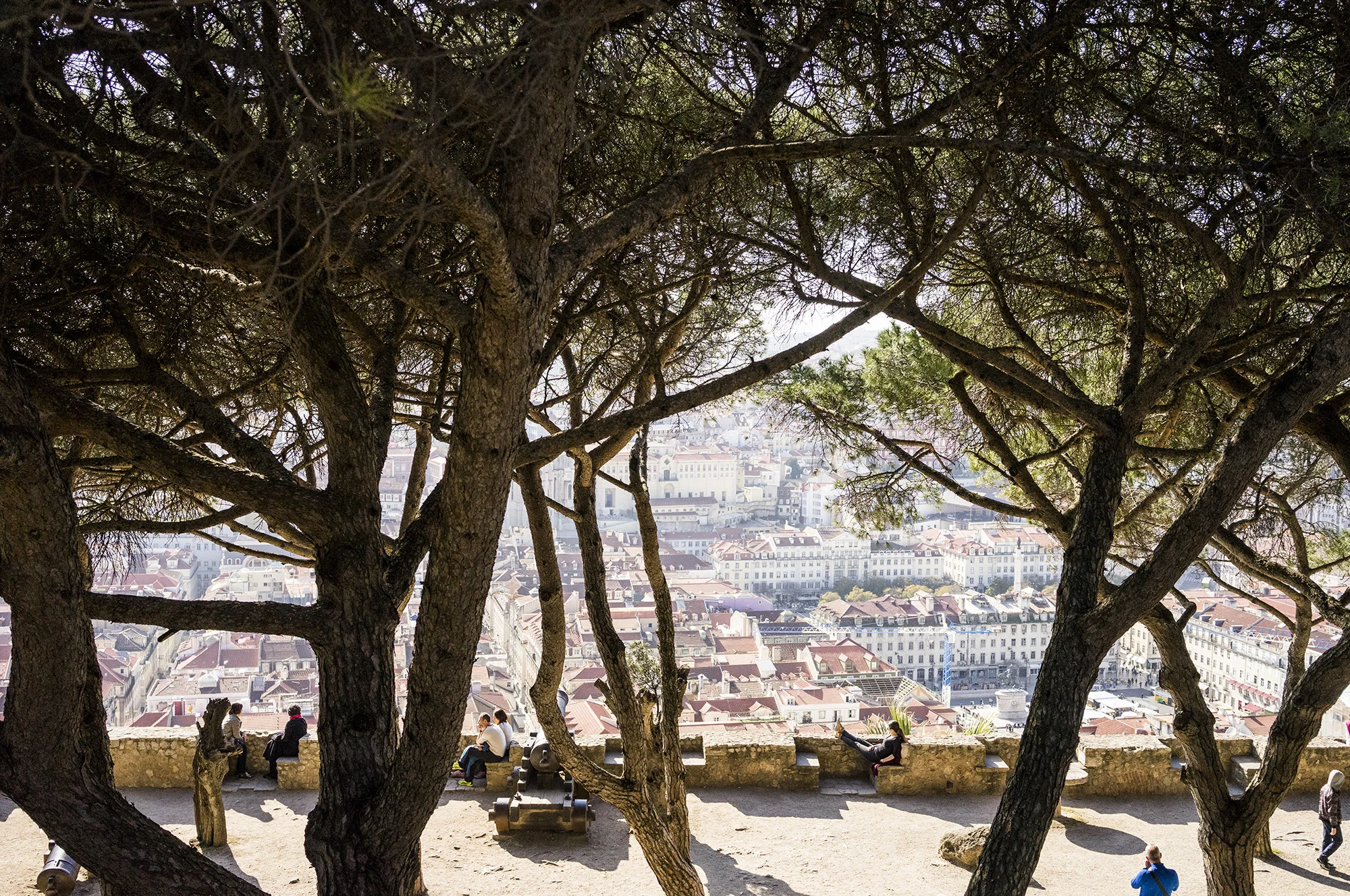 Saint Jorge &nbsp;Castle&nbsp;