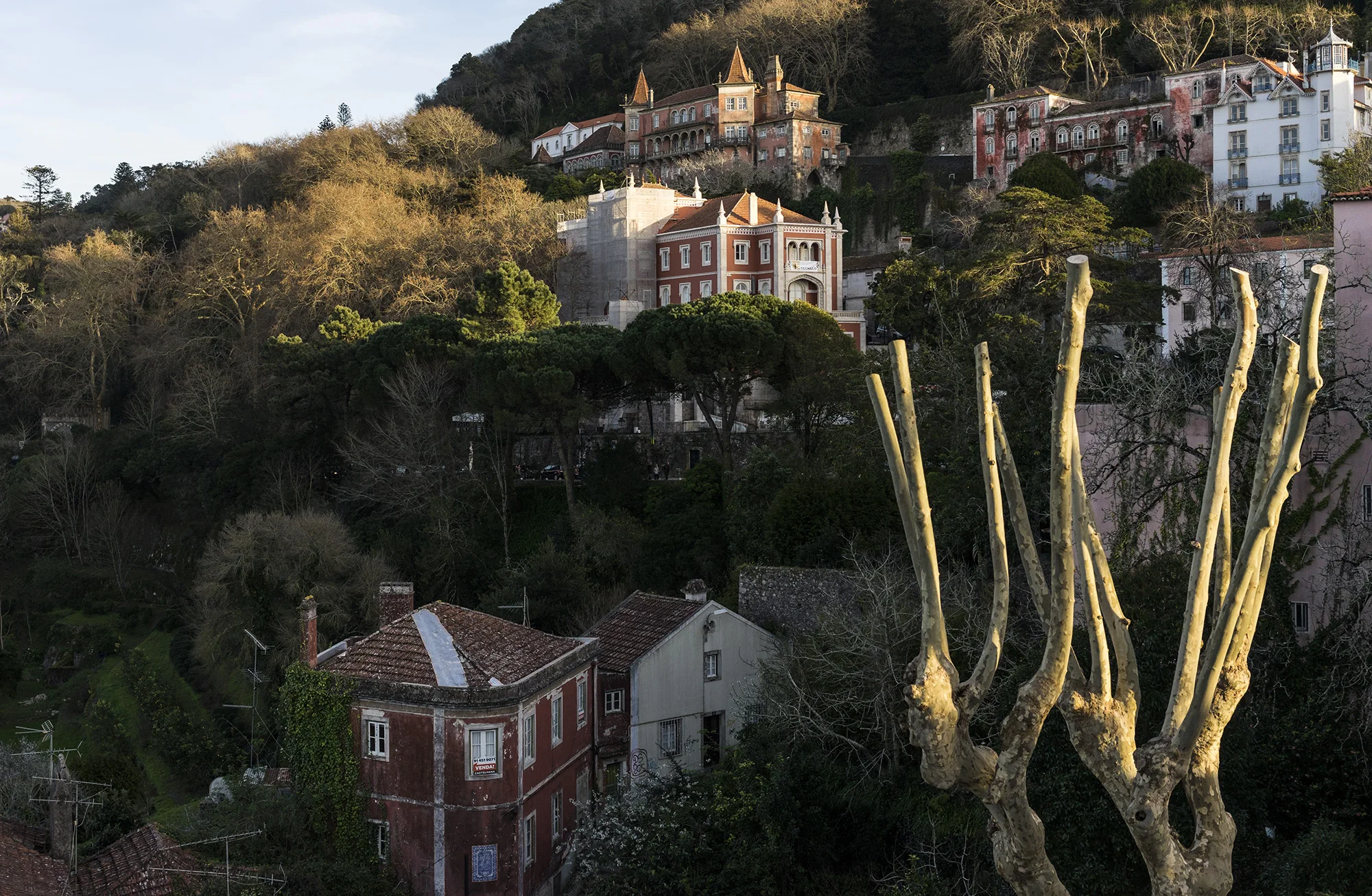 Sintra at sunset