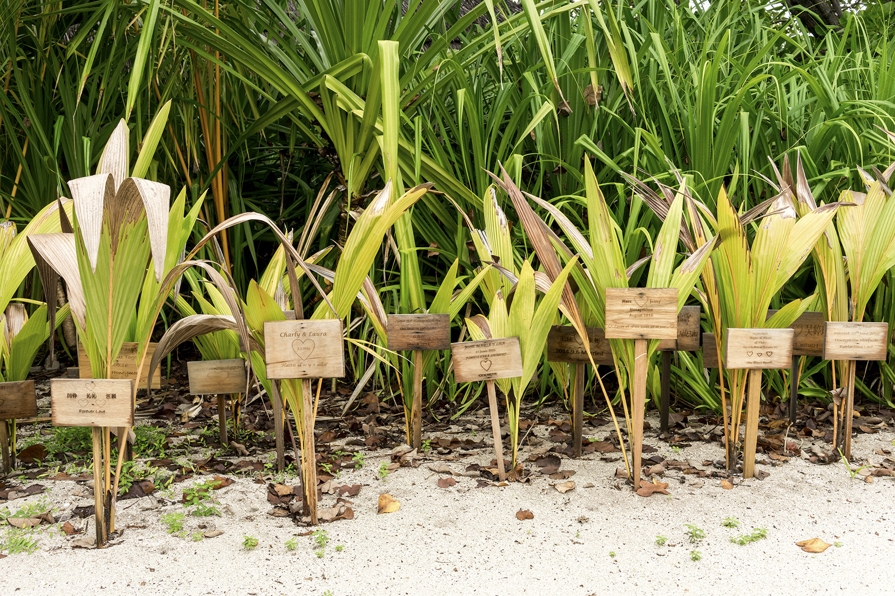 Cute messages from couples who have stayed on the island