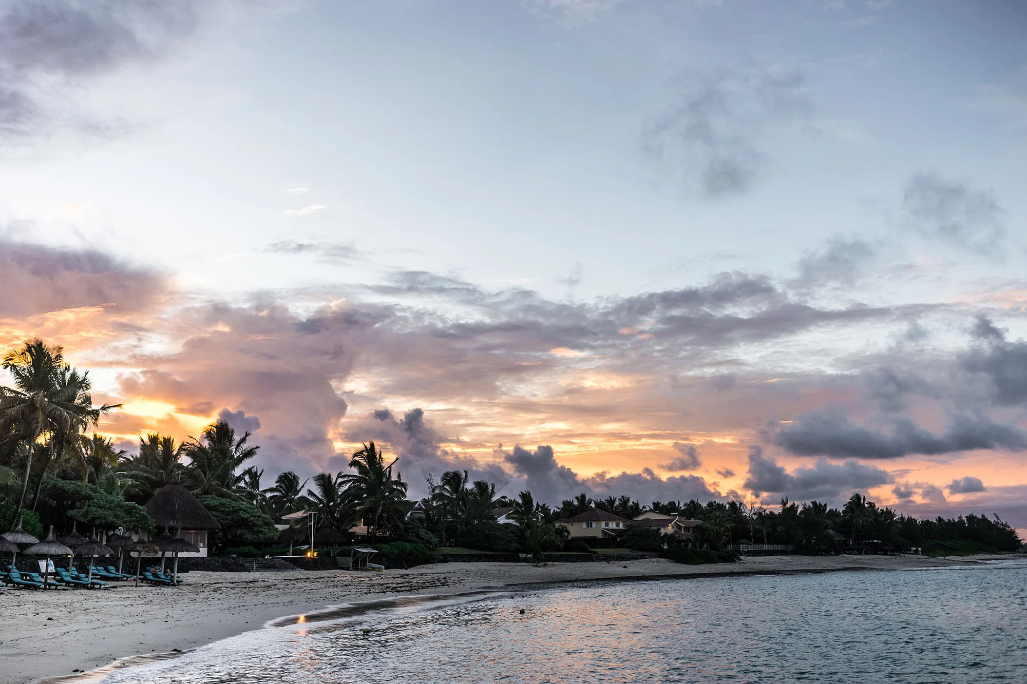 ruerodiermauritius6.jpg