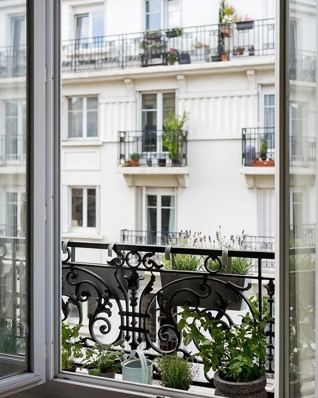 Growing plant family 🌿 hope you&rsquo;ve had good weekends 😘