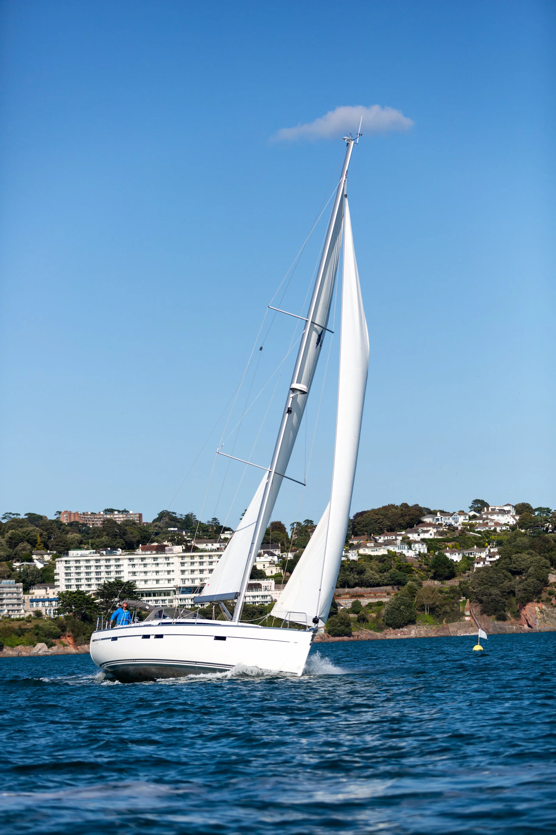 LR-S-Y_Lily_Sea-1.jpg