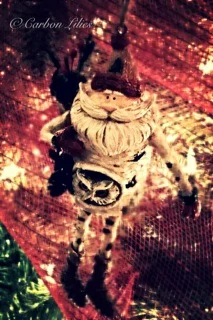 A Lilies' Family tree ornament... Santa's a hoot!