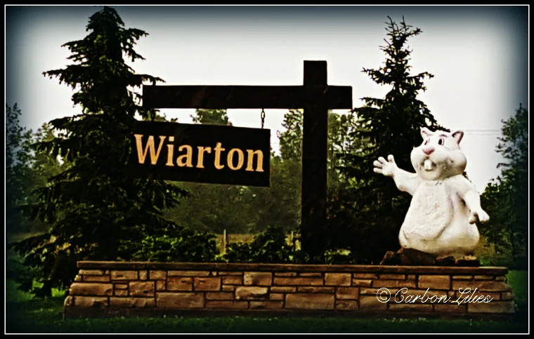 Wiarton.jpg