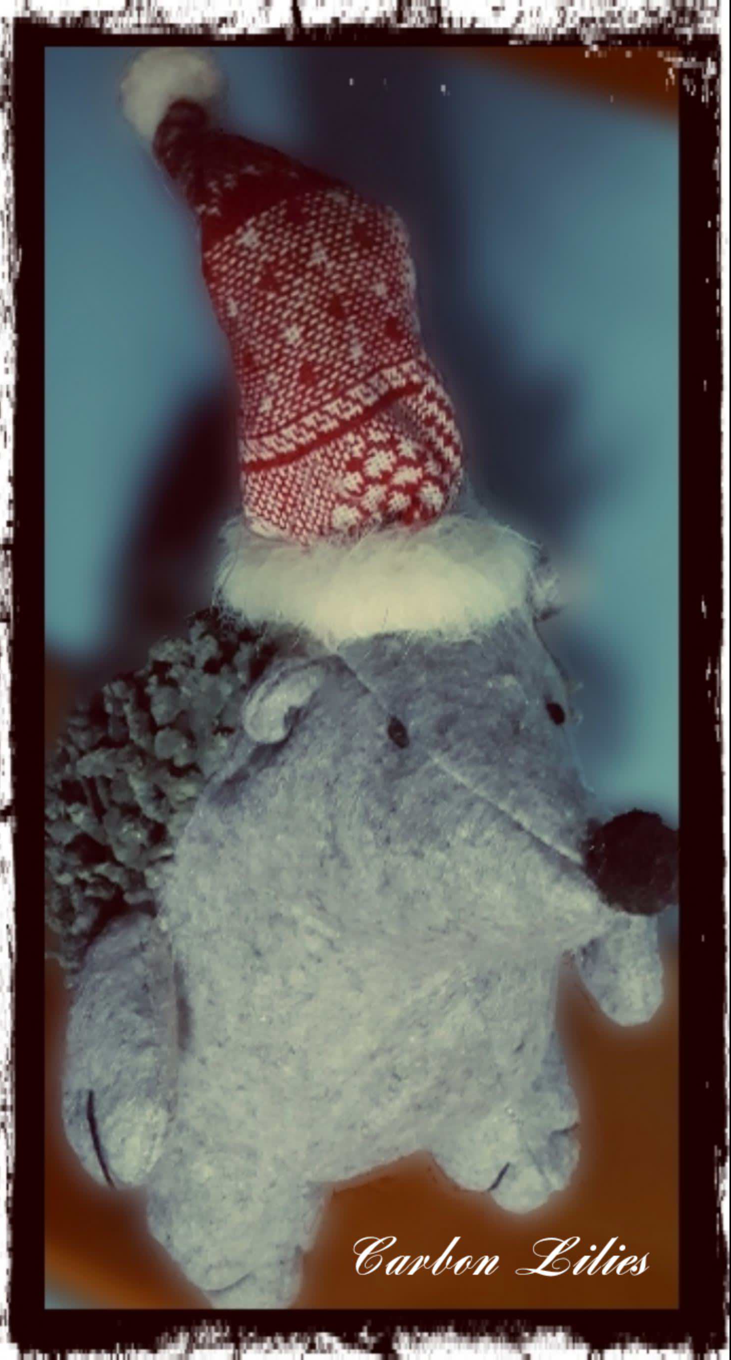 20171228_124632.jpg