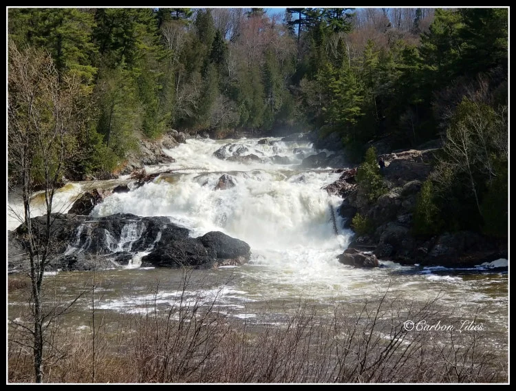 Our Excursion Through the Shield - Day 4