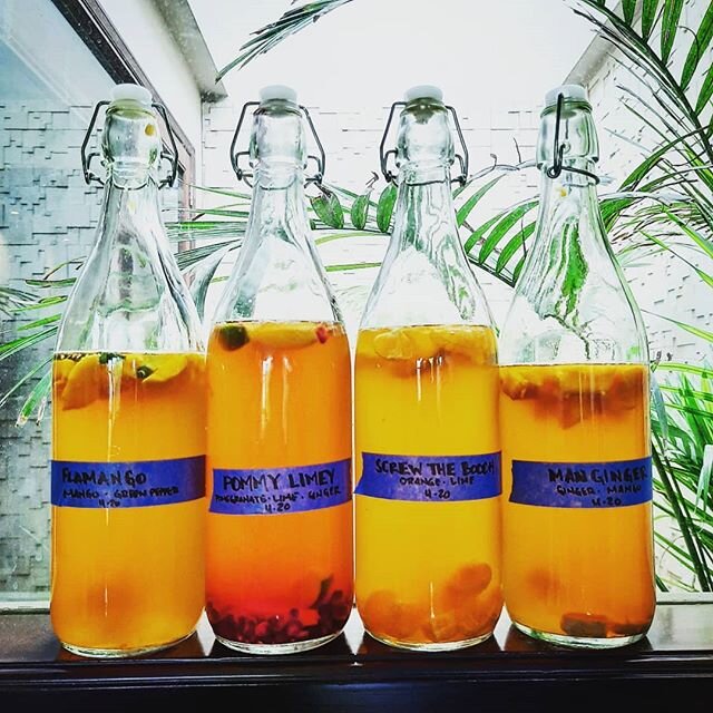 Today was booch bottling day. Got 4 flavors carbonating and dying to see how it all turns out! #fermentingininda #quarantinefermenting  #quarantinelife #kombucha #quarantinekombicha #expatlife #livingtheflipside