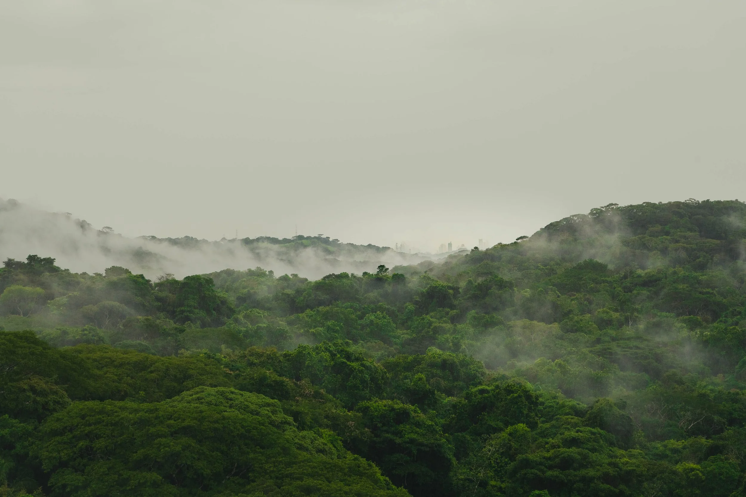 0726_Panama_260704_1_Wallpaper.jpg