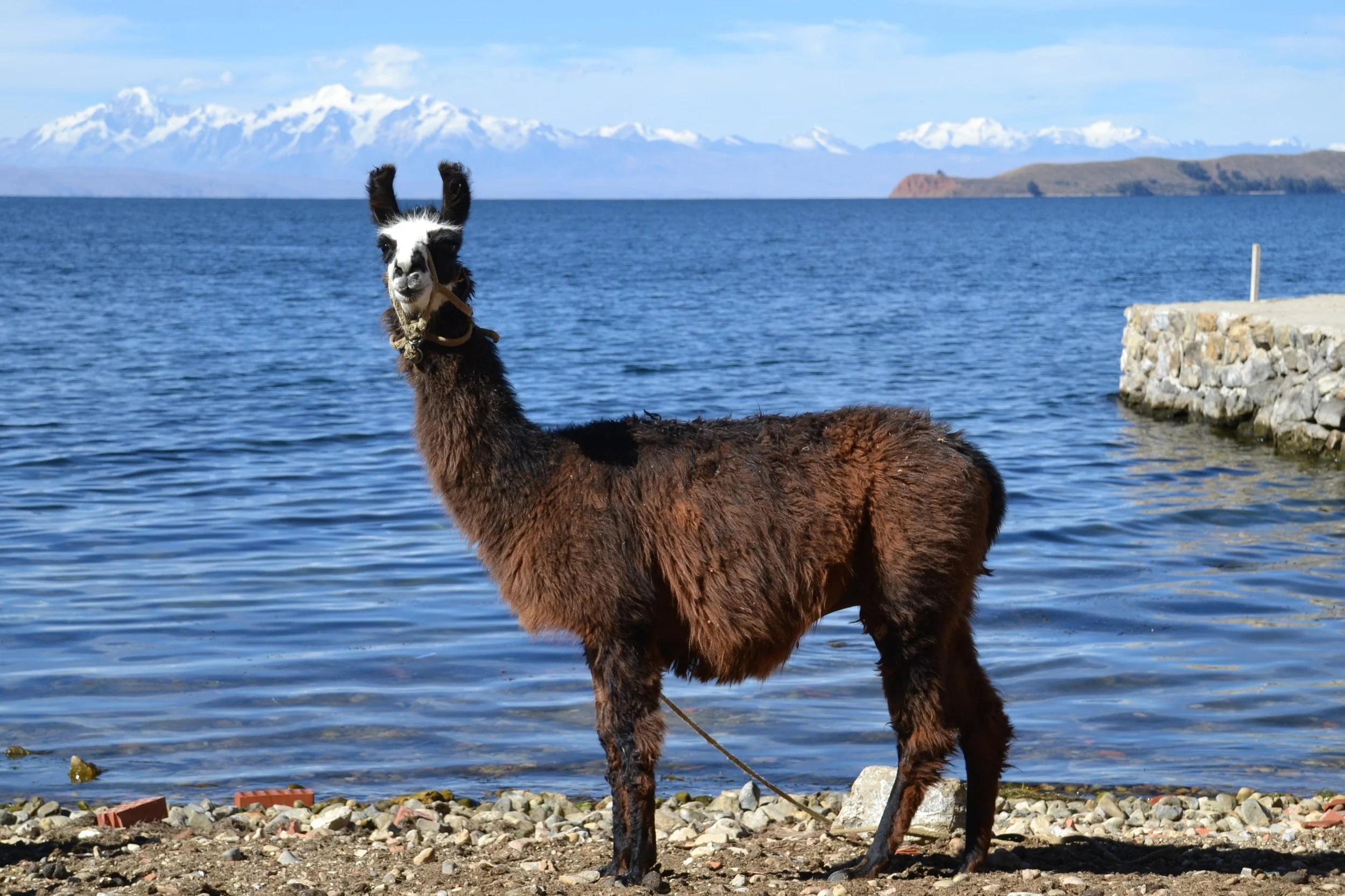 The Bolivian side of things.