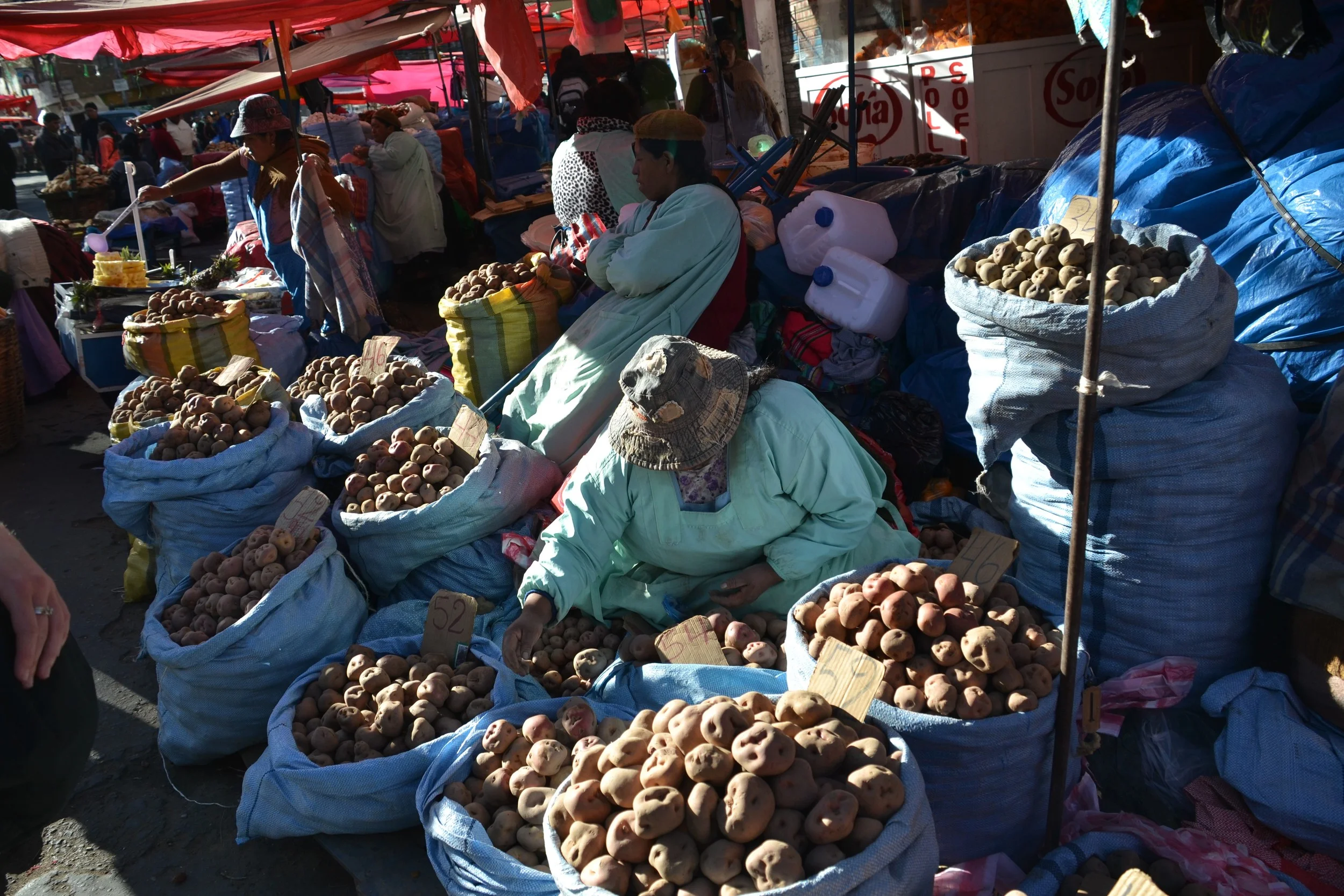 Women selling potatoes in a Bolivian marketplace.