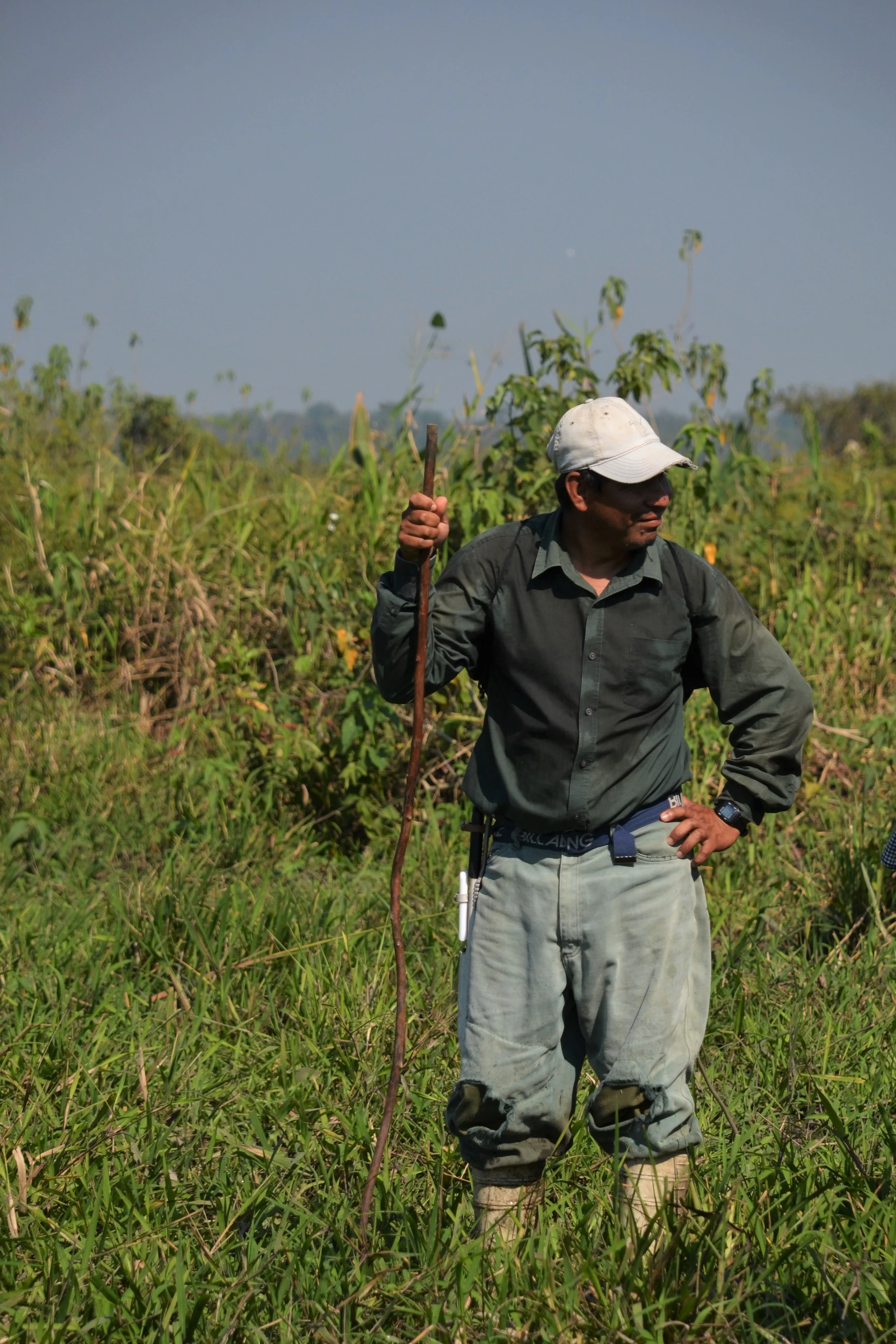 A guide anaconda hunting. 