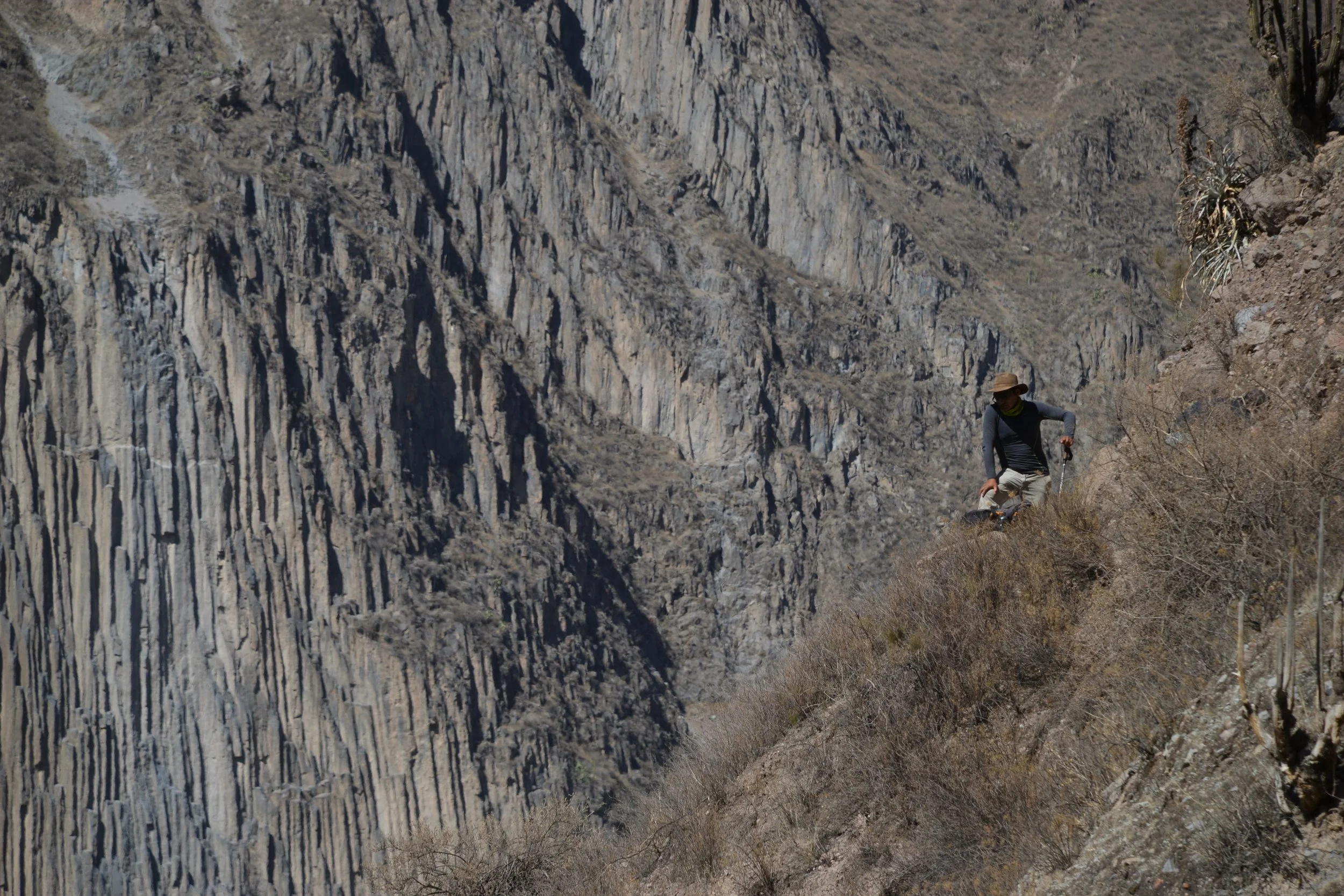 The slopes of the Colca Canyon.