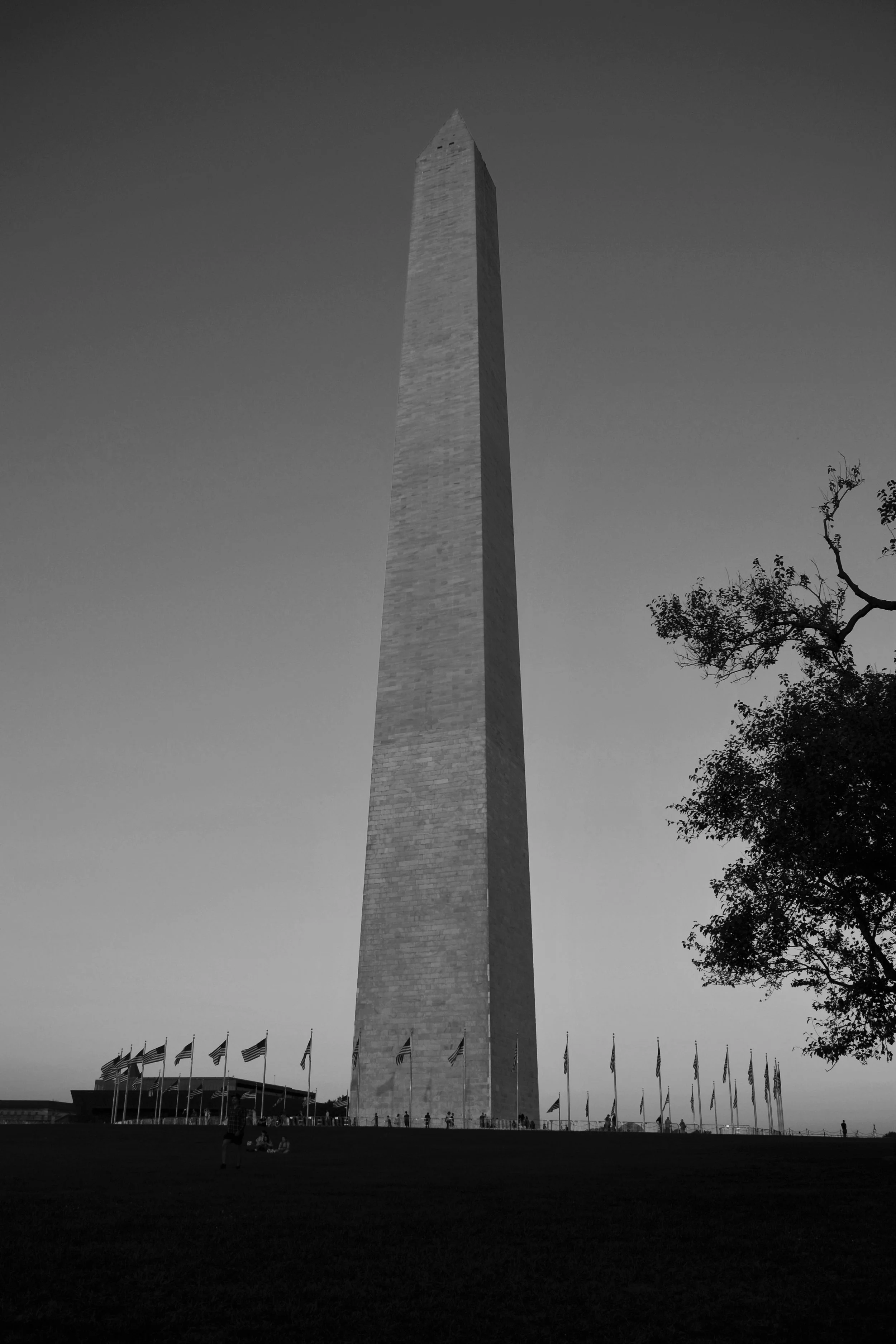 The Washington Erection.