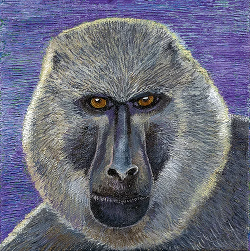 Baboon - SOLD