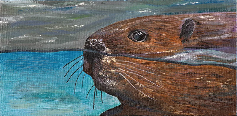 Beaver - SOLD